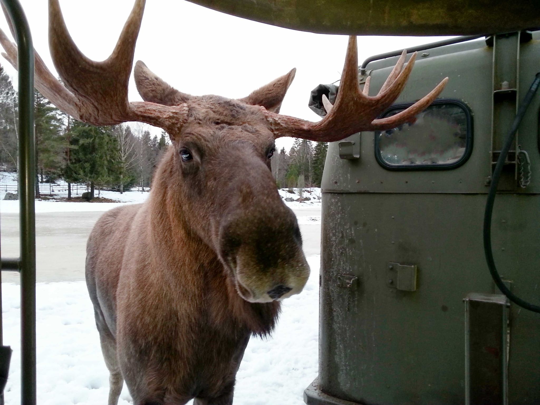 Haus am See Gnötteln