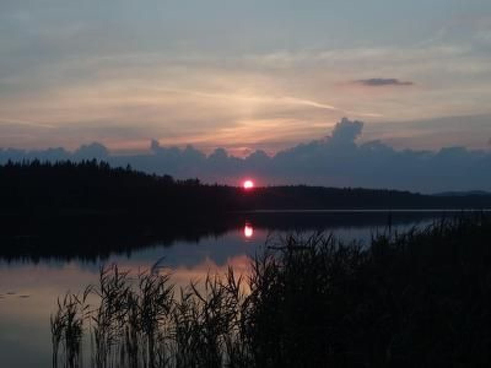 Charmantes Holzferienhaus mit Sauna-Drinnen