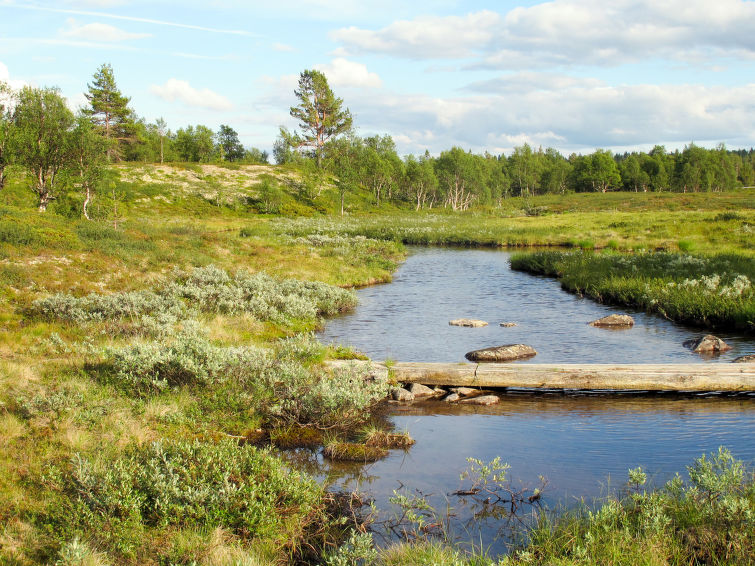 Storsätern Dyllen (DAN080)