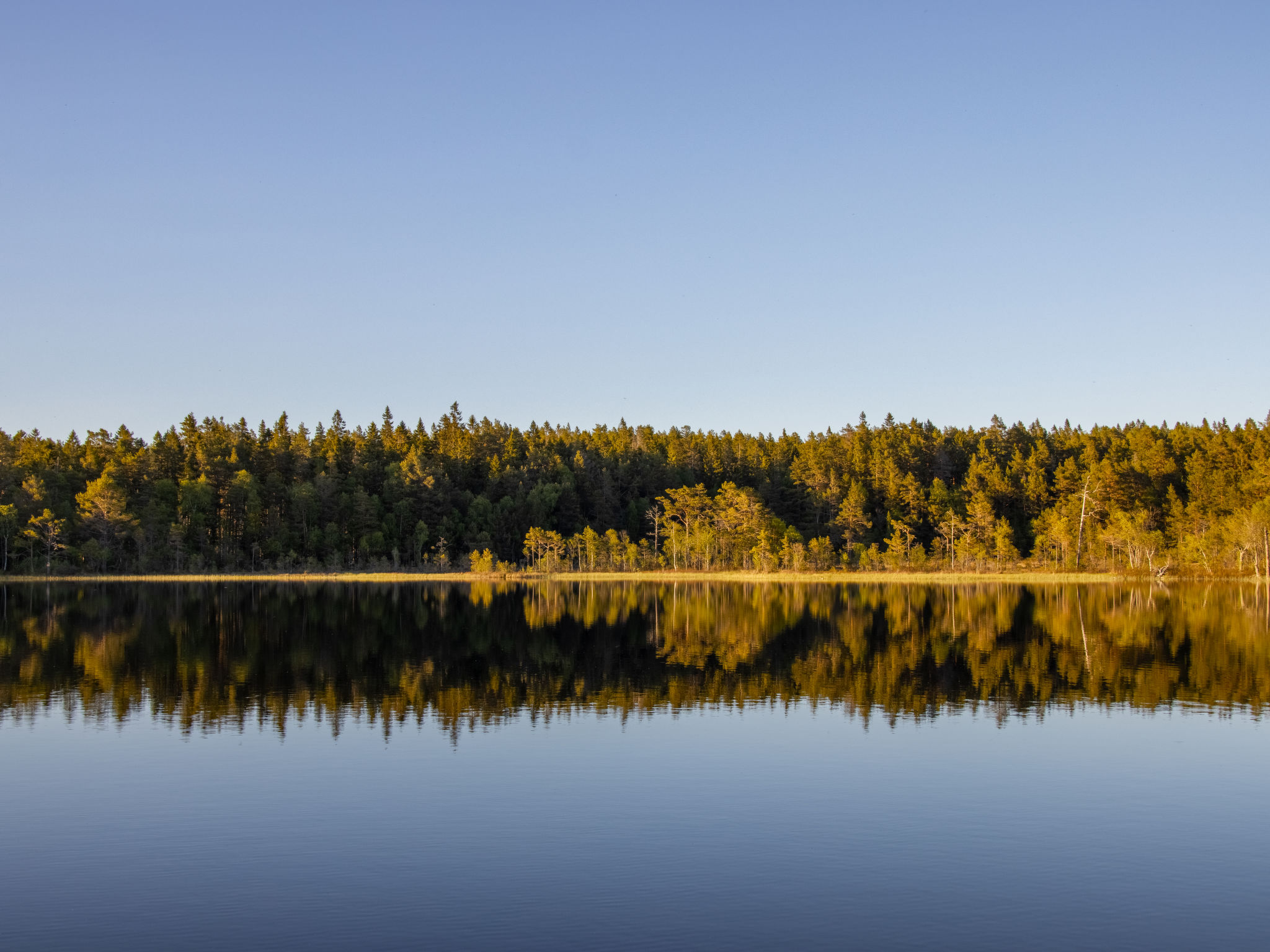 Hölick Tallen 1-Buiten