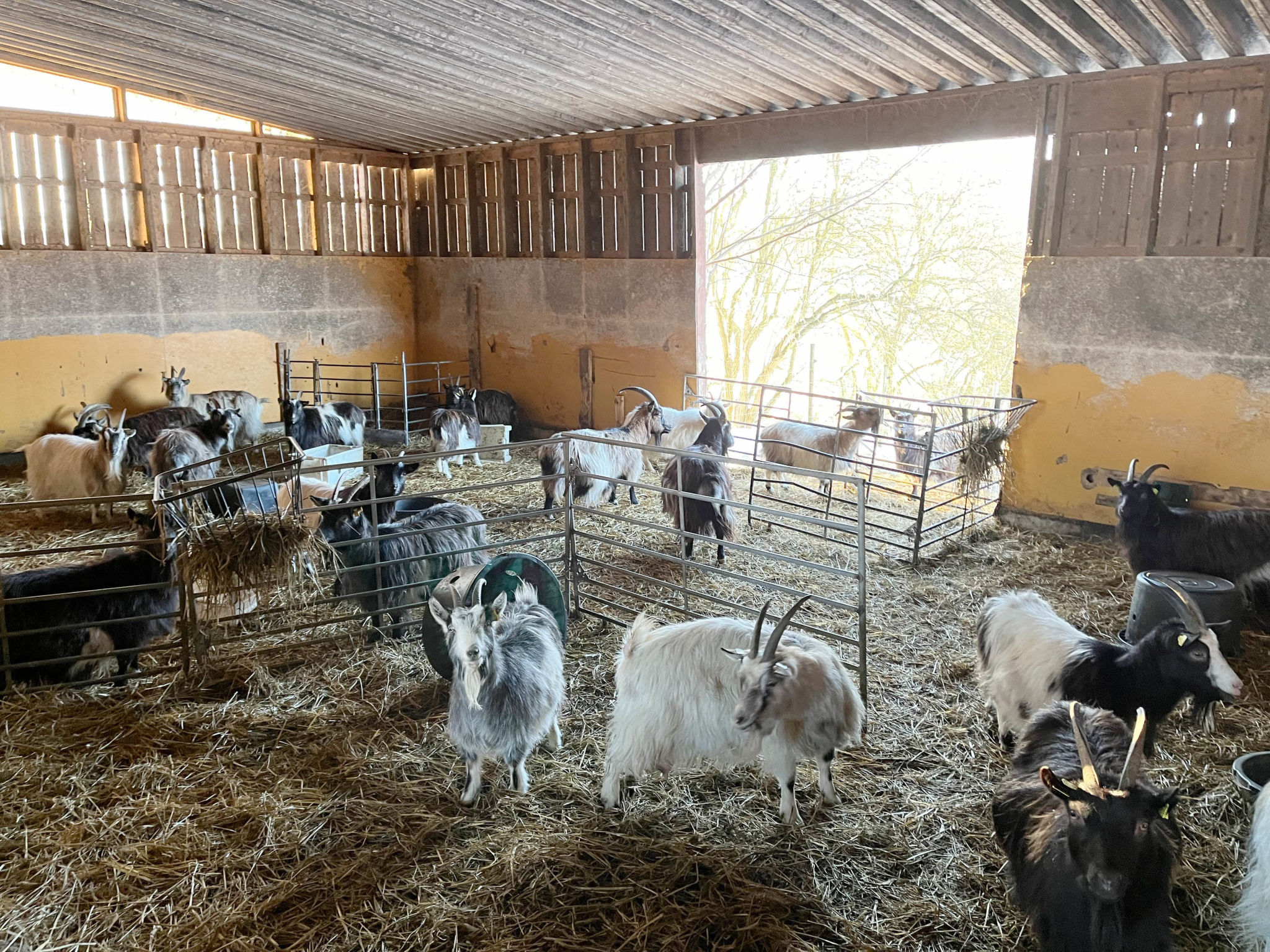 Orranäsgården-Buiten