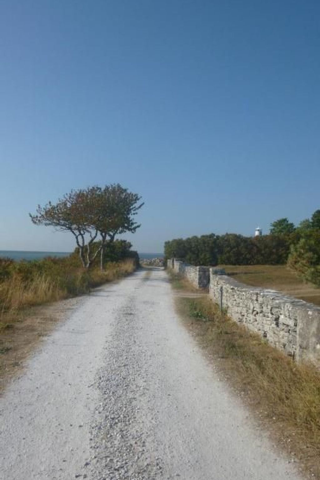 Tiny house Gotland-Binnen