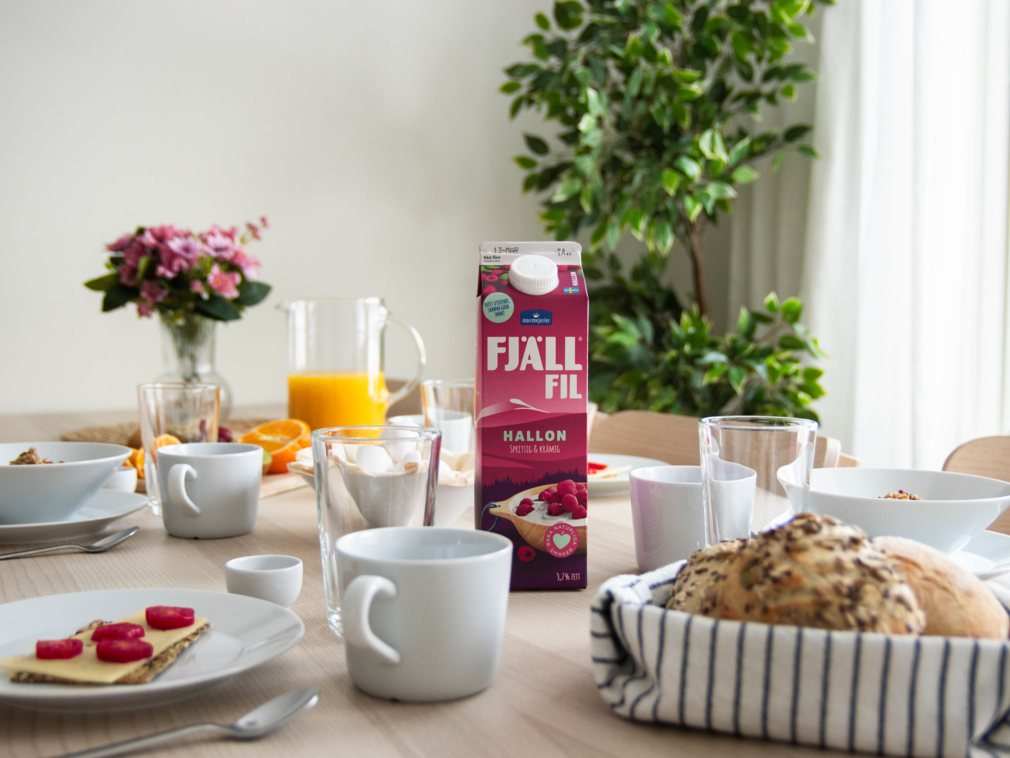 Svanhågna Gård - Drinnen