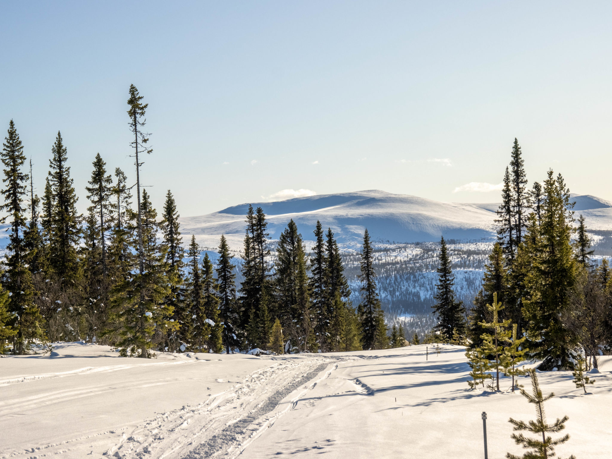 Svanhågna Gård - Draußen