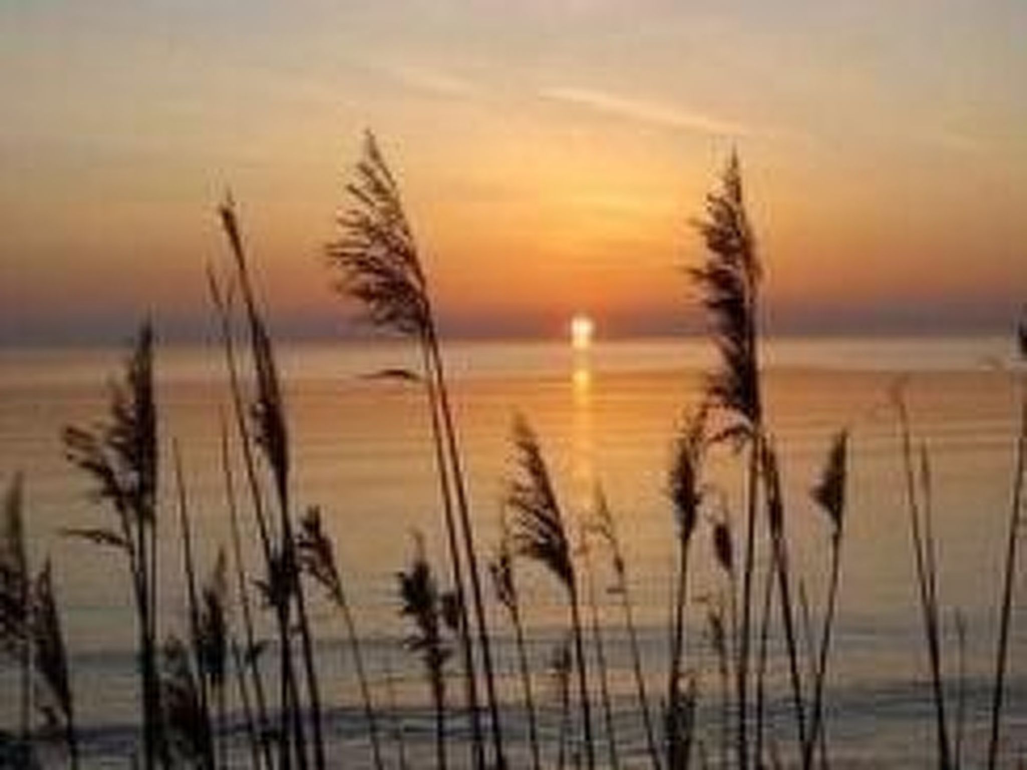 Gemütliches Ferienhaus Sjöstugan am Meer-Binnen