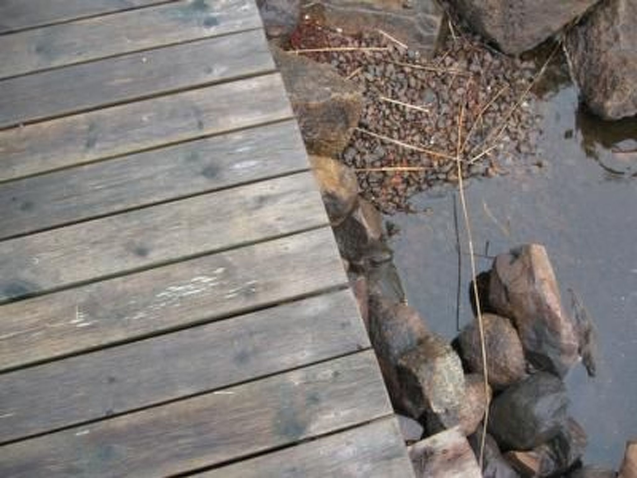 In Målilla Boote Sauna  See-Drinnen