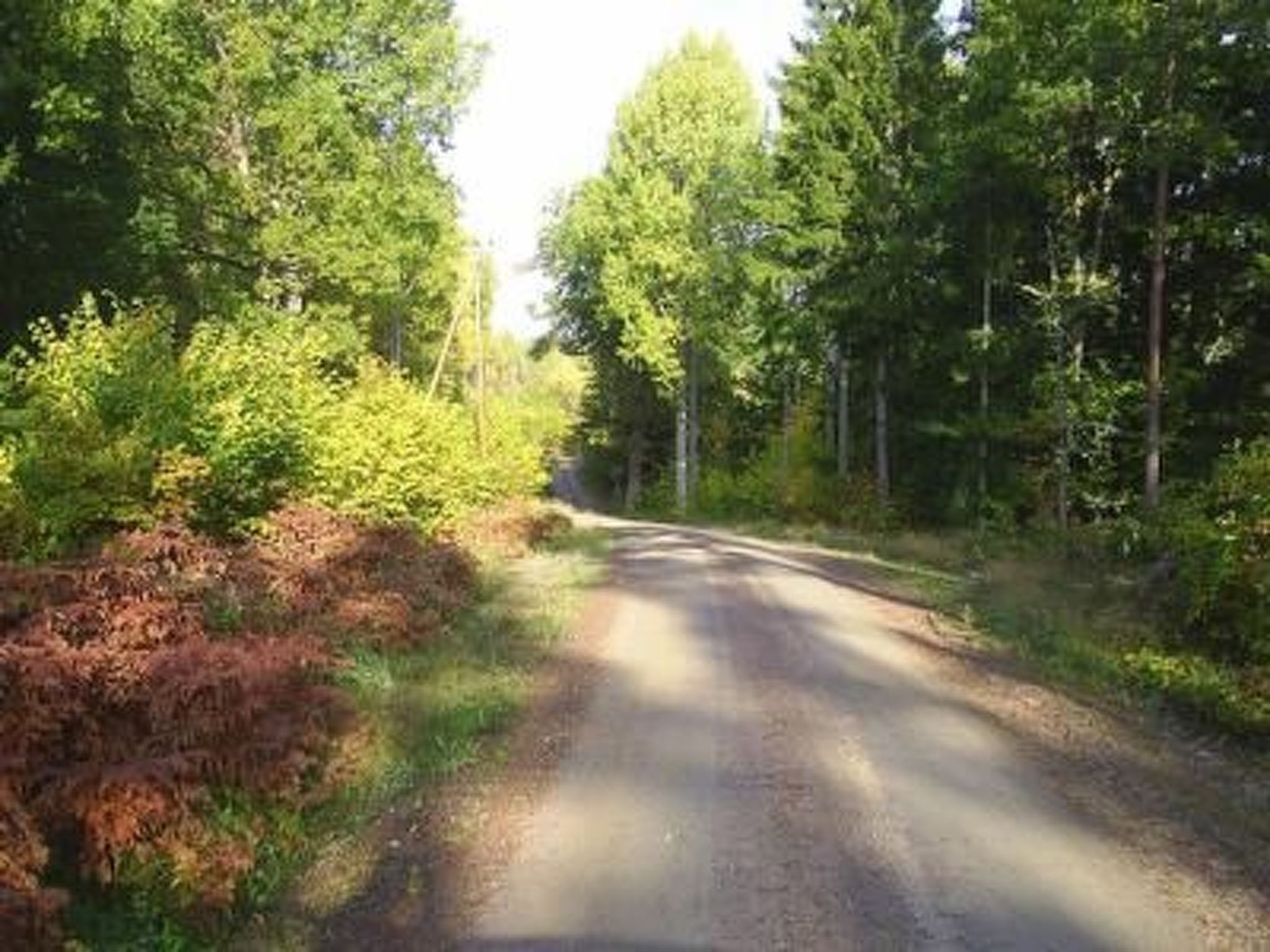 In Målilla Boote Sauna  See-Drinnen