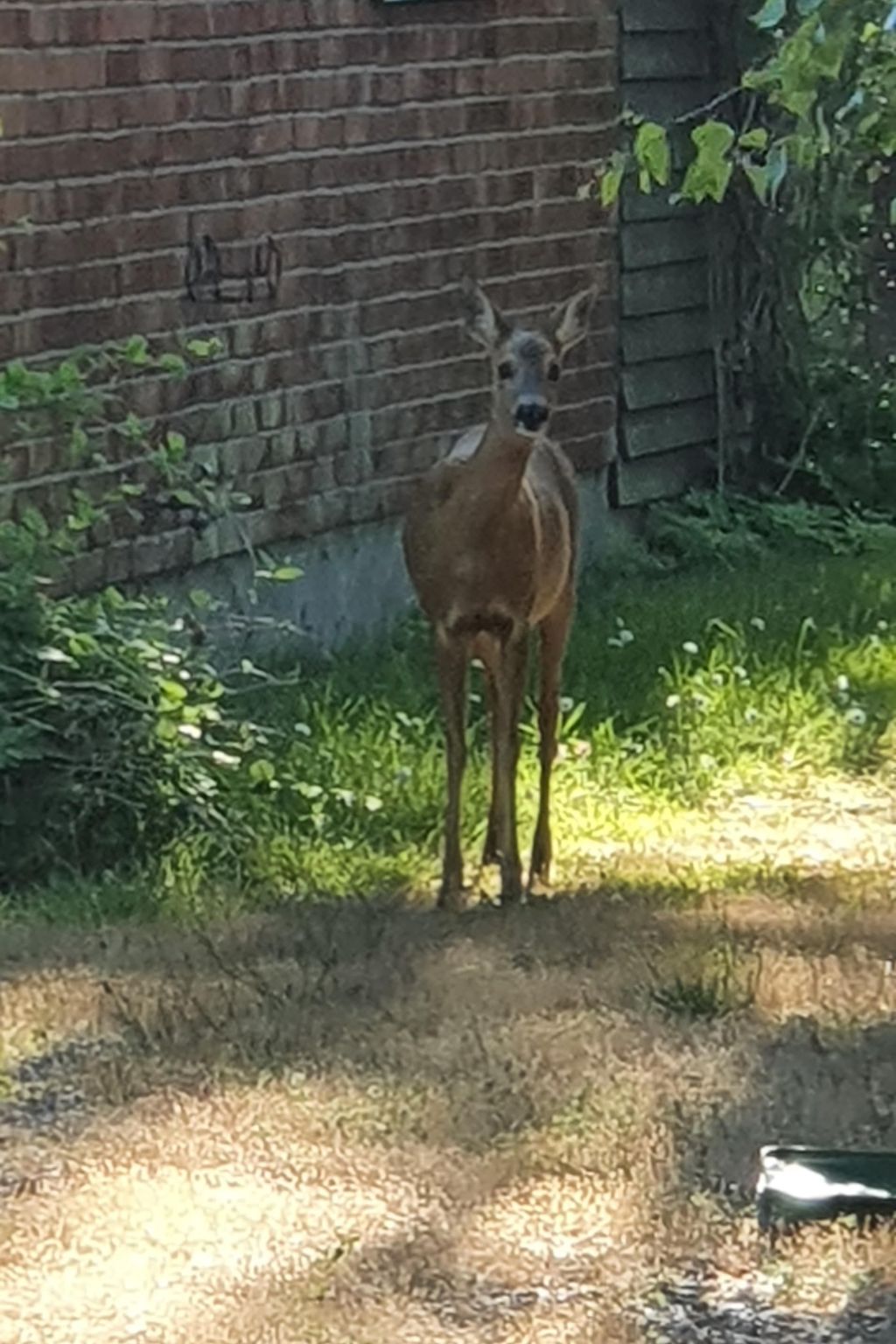 Kleines, strandnahes Ferienhaus in Schweden-Image-tags.info