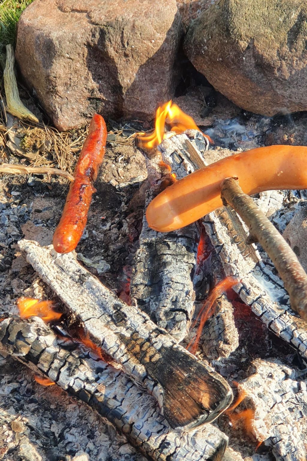 Kleines, strandnahes Ferienhaus in Schweden-Image-tags.info