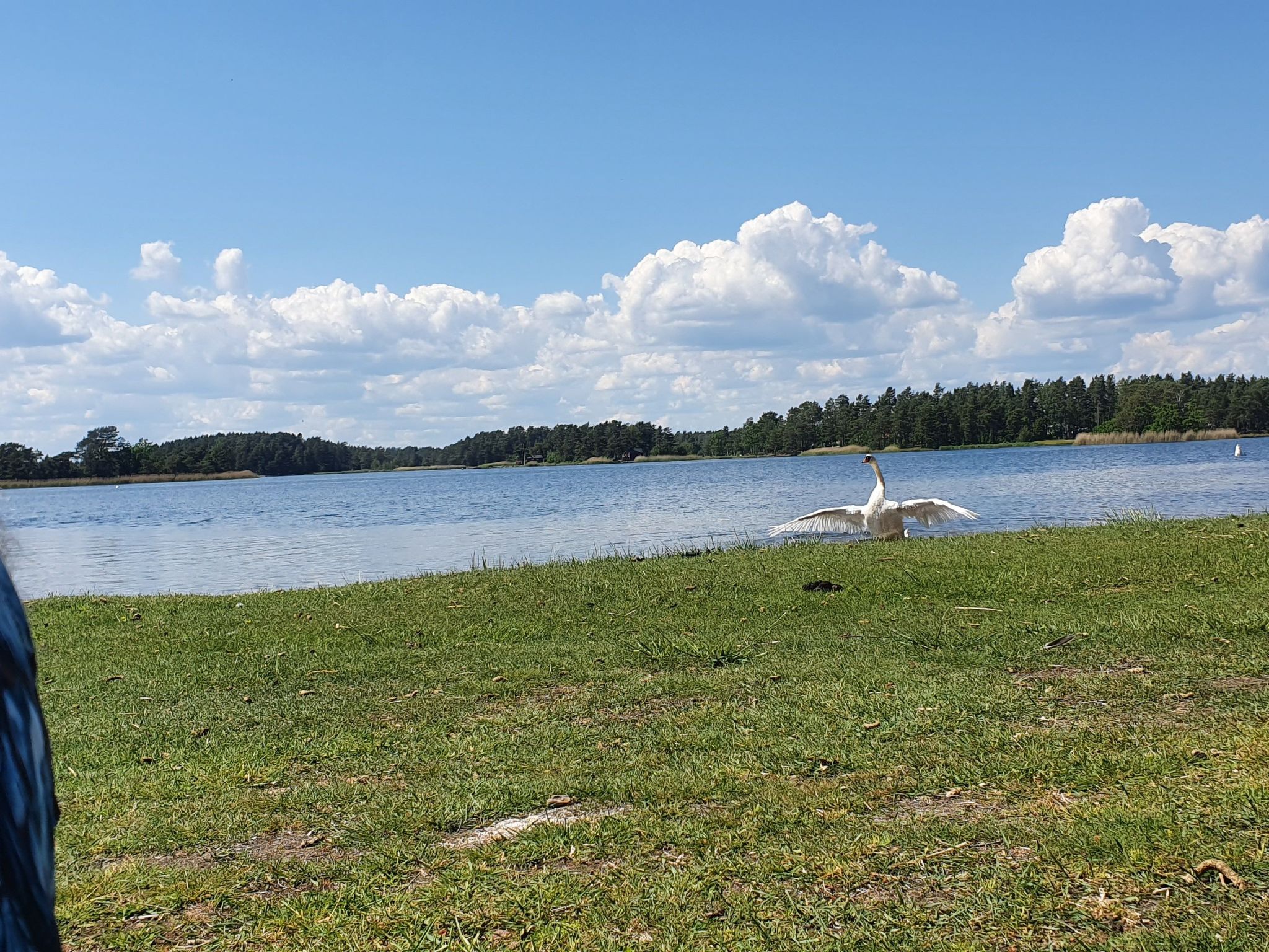 Kleines, strandnahes Ferienhaus in Schweden-Image-tags.info
