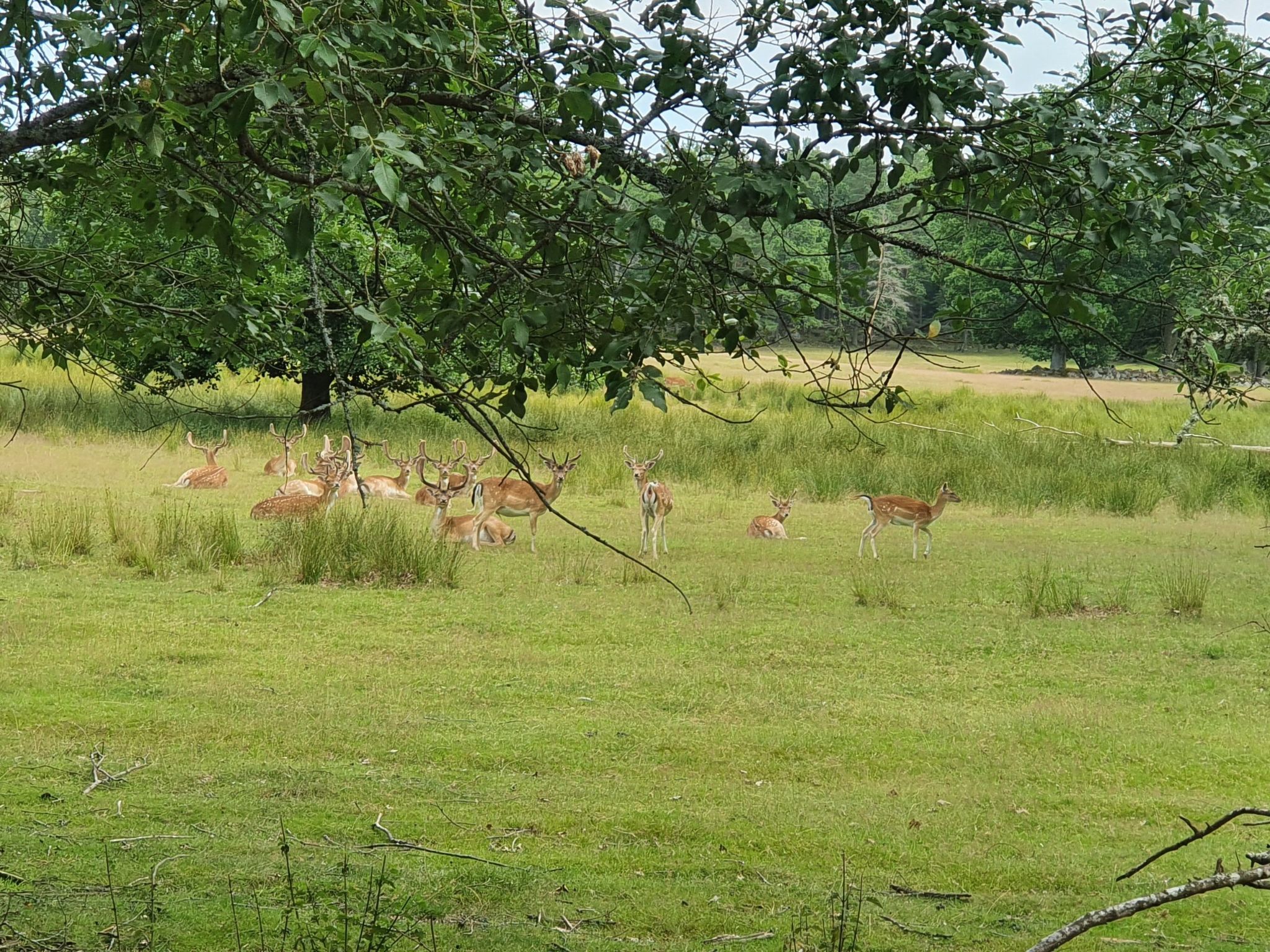 Kleines, strandnahes Ferienhaus in Schweden-Image-tags.info