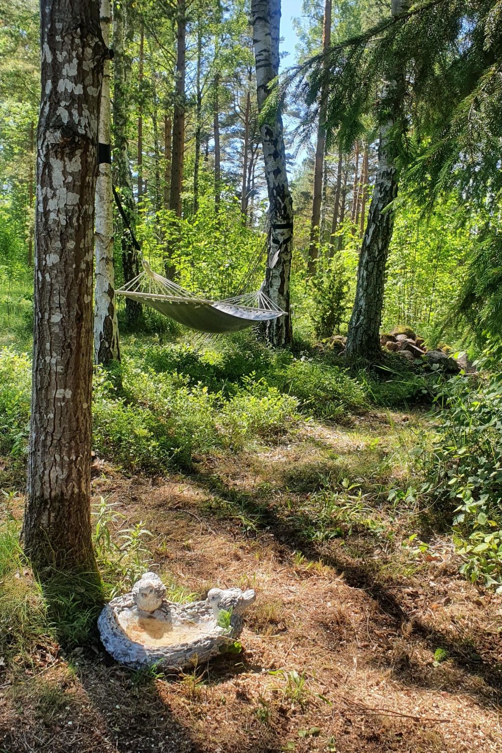 Kleines, strandnahes Ferienhaus in Schweden-Image-tags.info