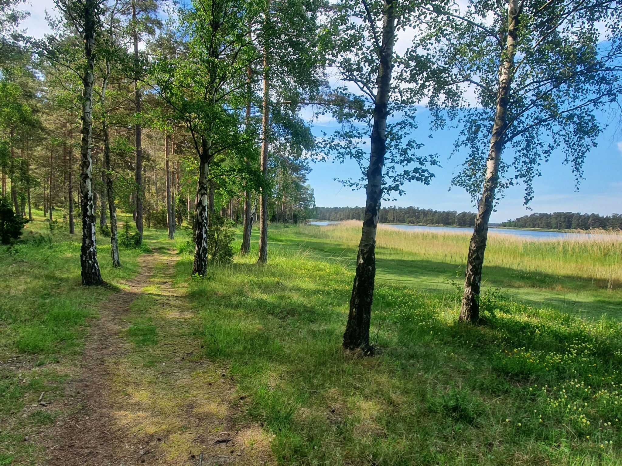 Kleines, strandnahes Ferienhaus in Schweden-Image-tags.info