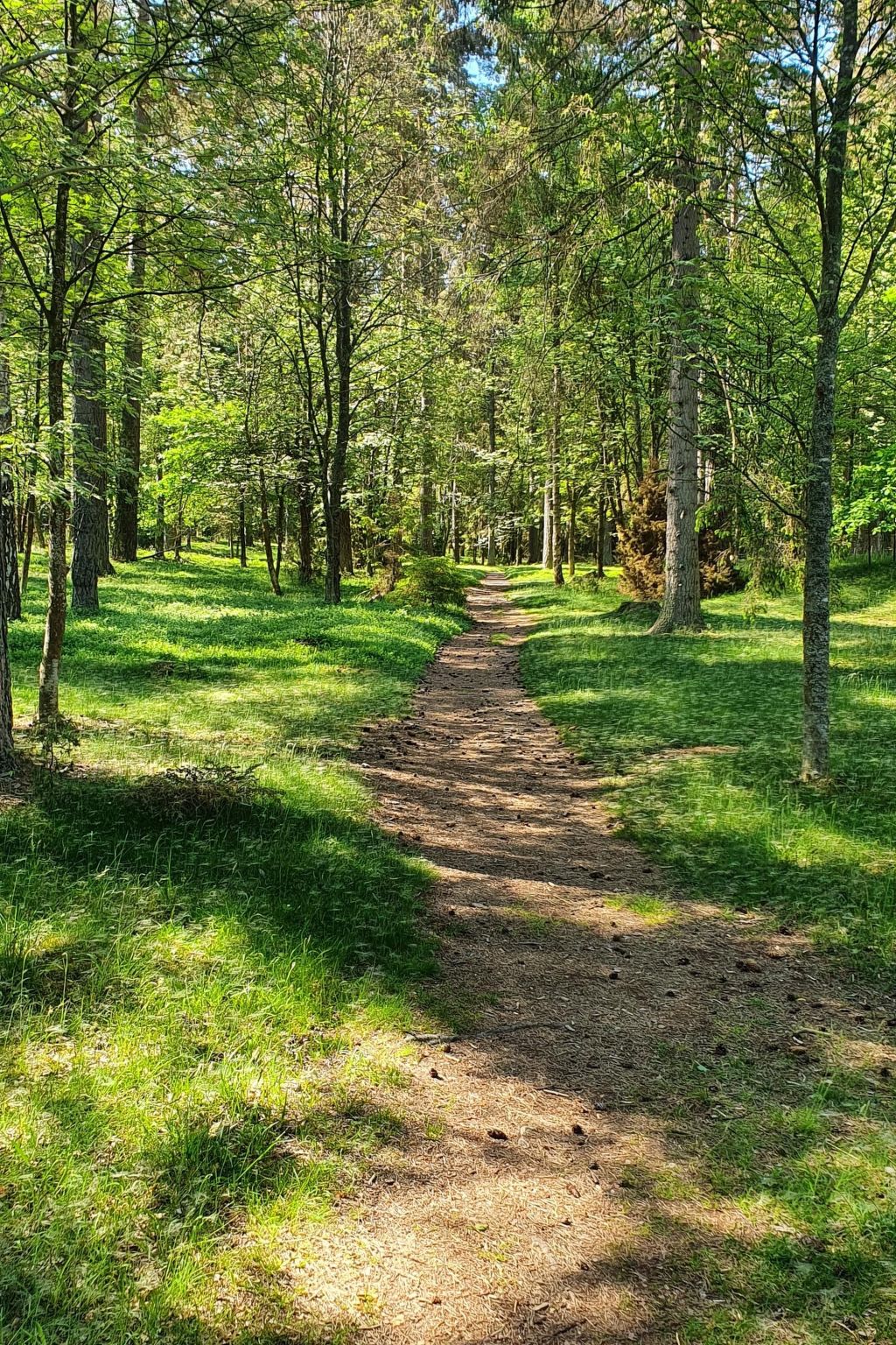 Kleines, strandnahes Ferienhaus in Schweden-Image-tags.info