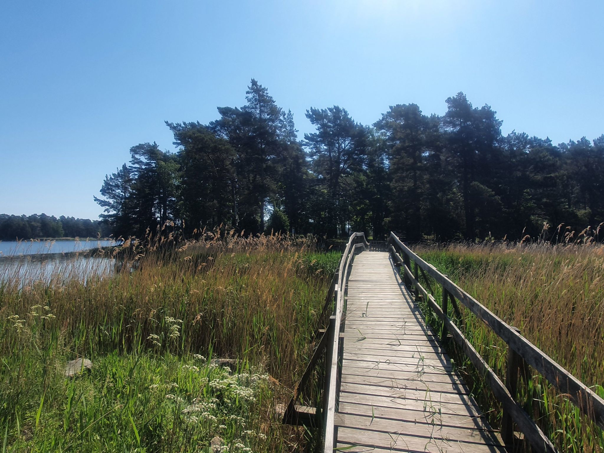 Kleines, strandnahes Ferienhaus in Schweden-Image-tags.info