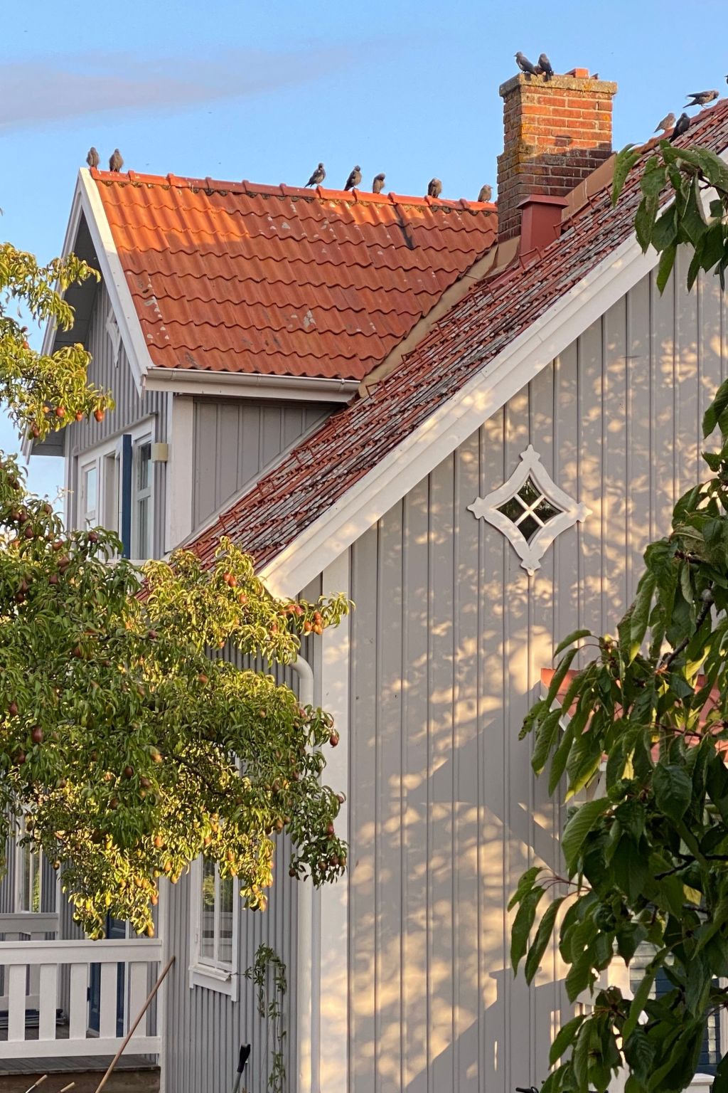 Öland Idyll – Mörbylånga – Ostsee