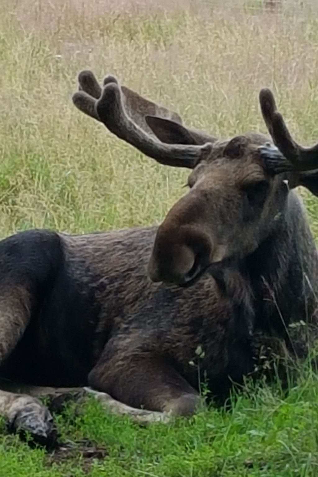 Villa Bullerbü-Drinnen