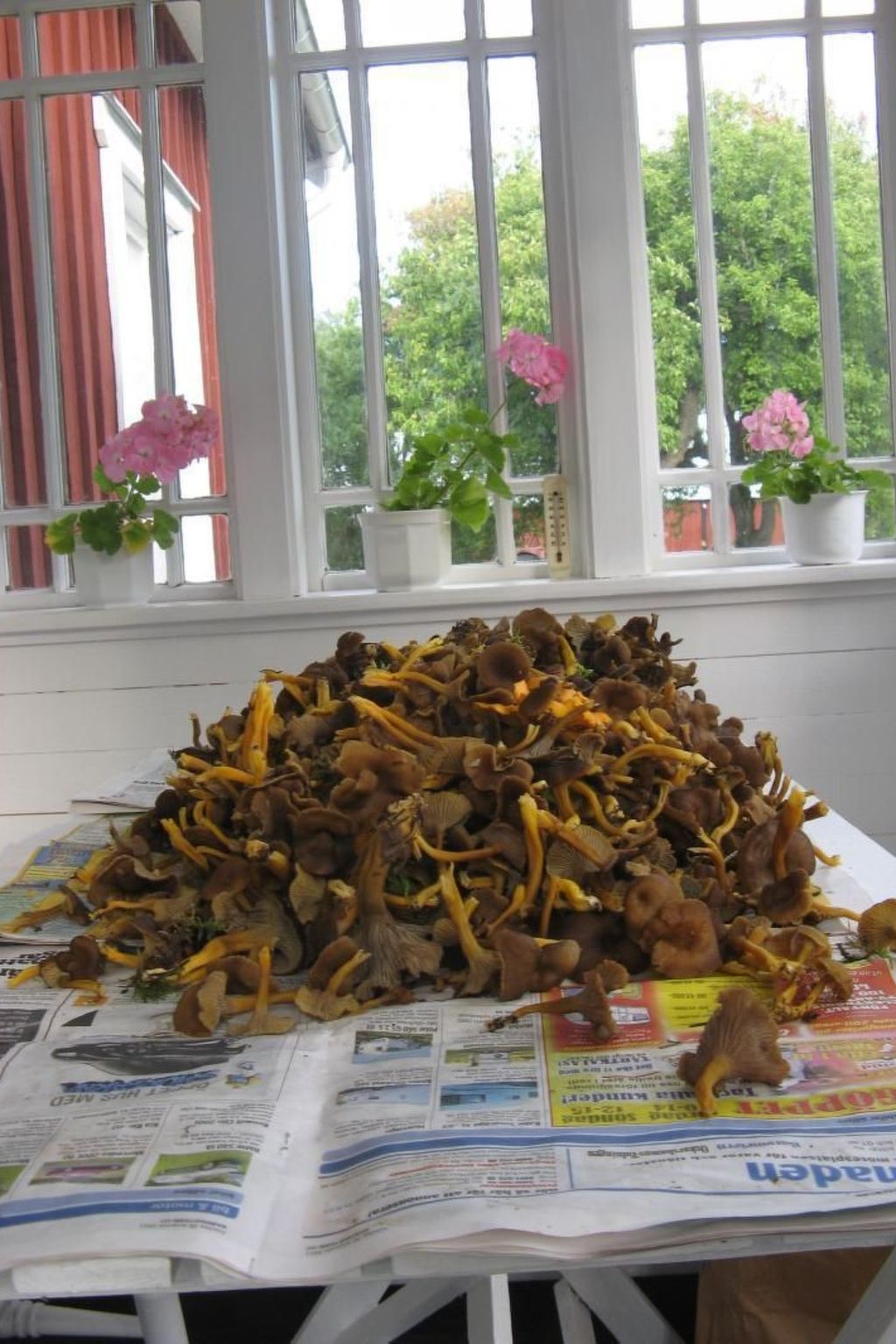 Idyllisches Bauernhaus in Småland-Binnen