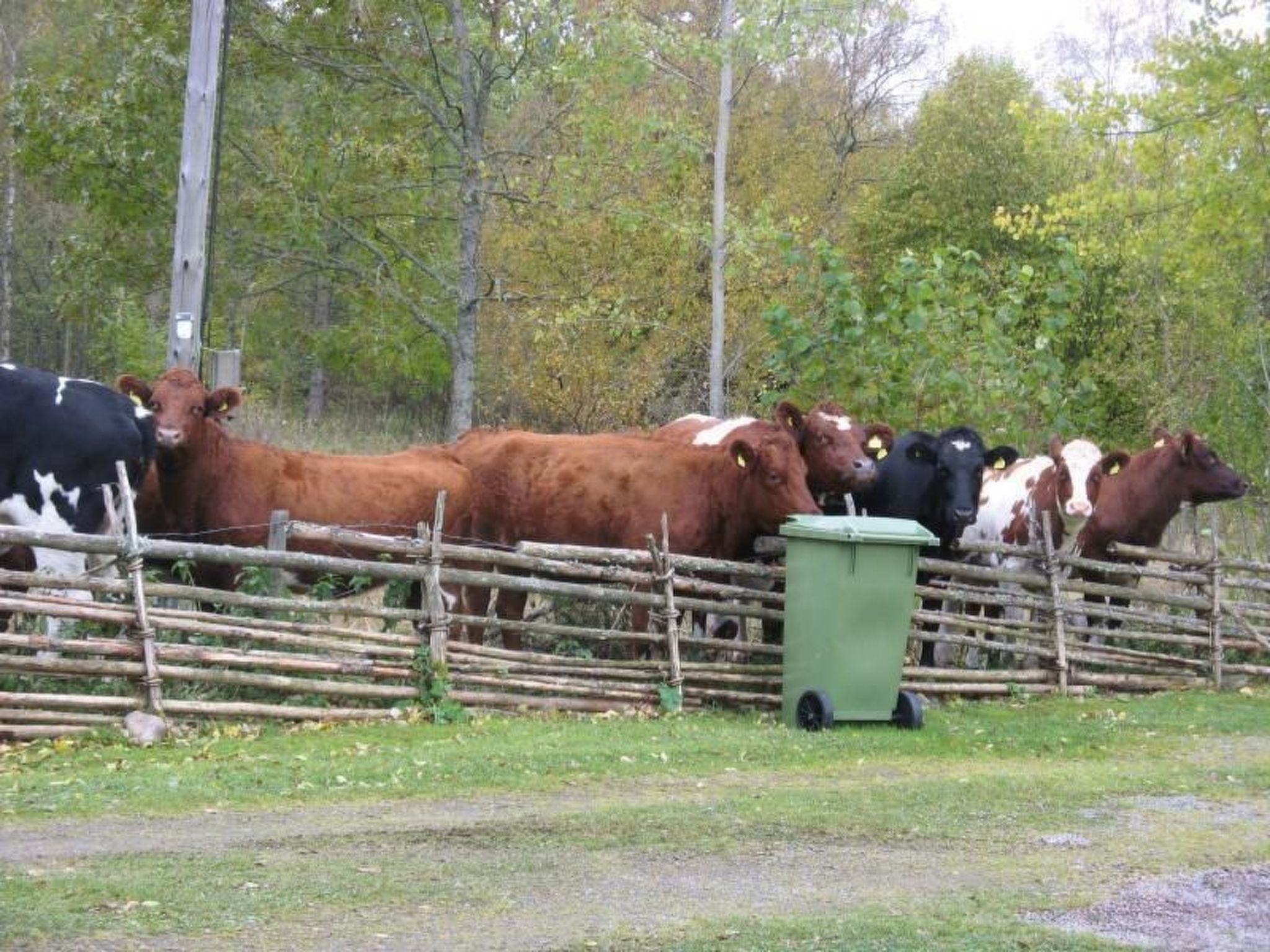 Idyllisches Bauernhaus in Småland-Binnen