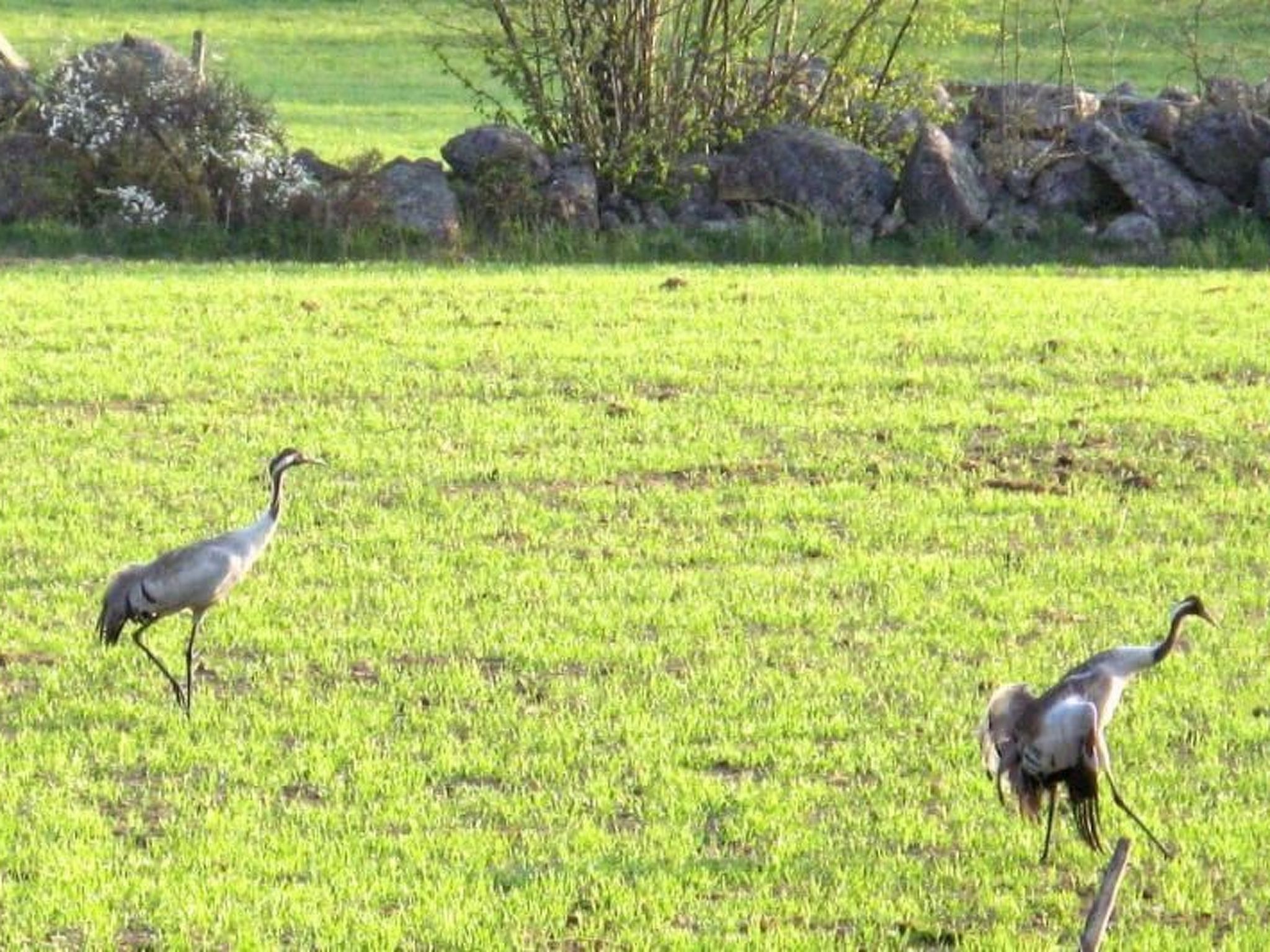 Idyllisches Bauernhaus in Småland-Binnen