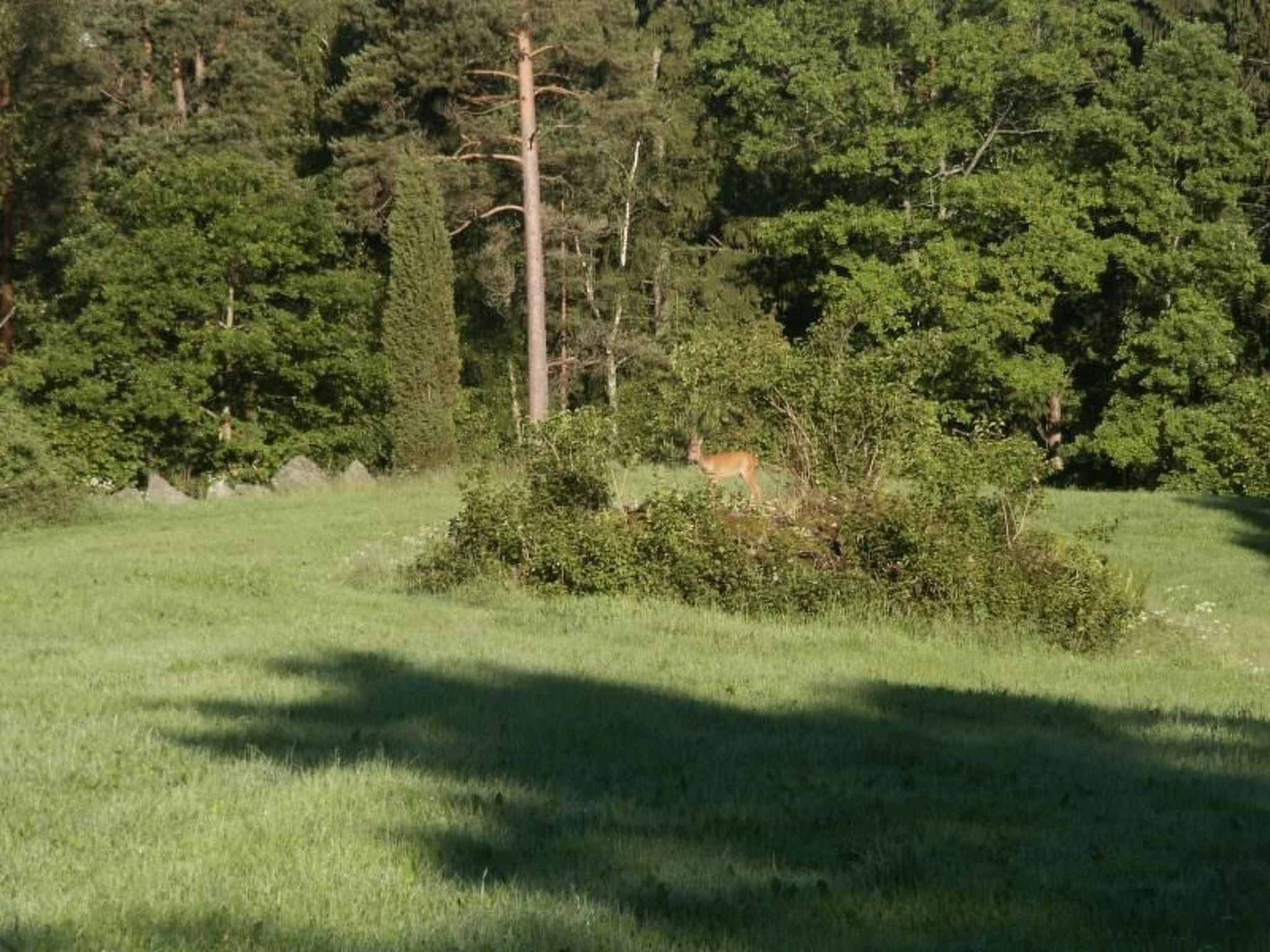 Idyllisches Bauernhaus in Småland-Binnen