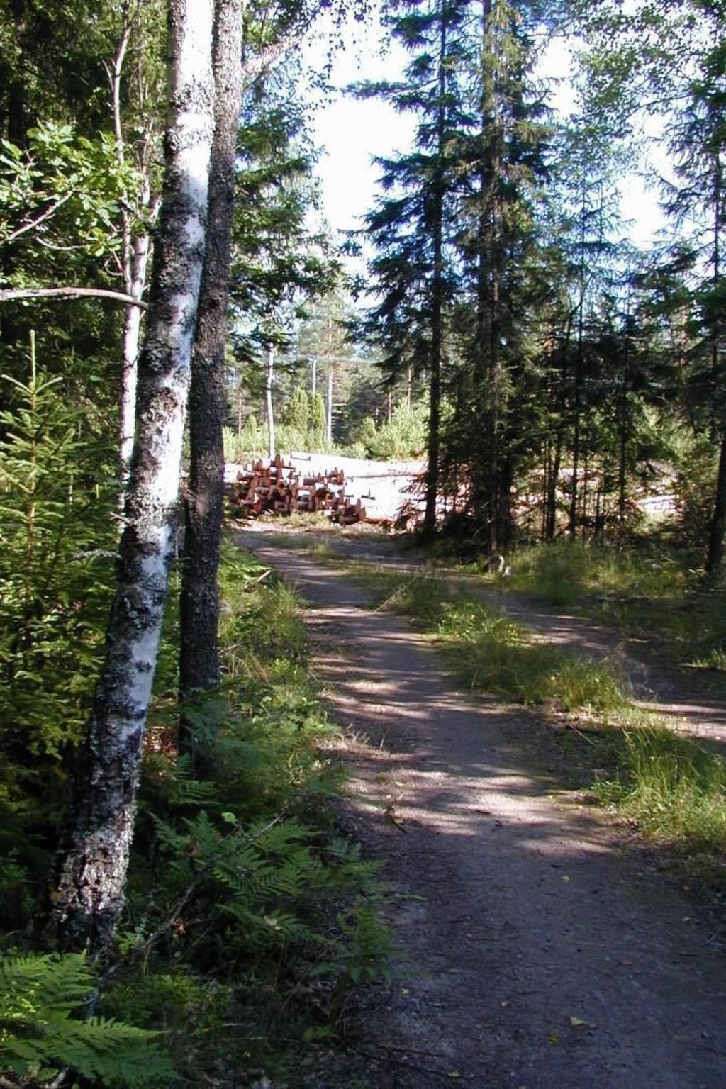 Idyllisches Bauernhaus in Småland-Binnen
