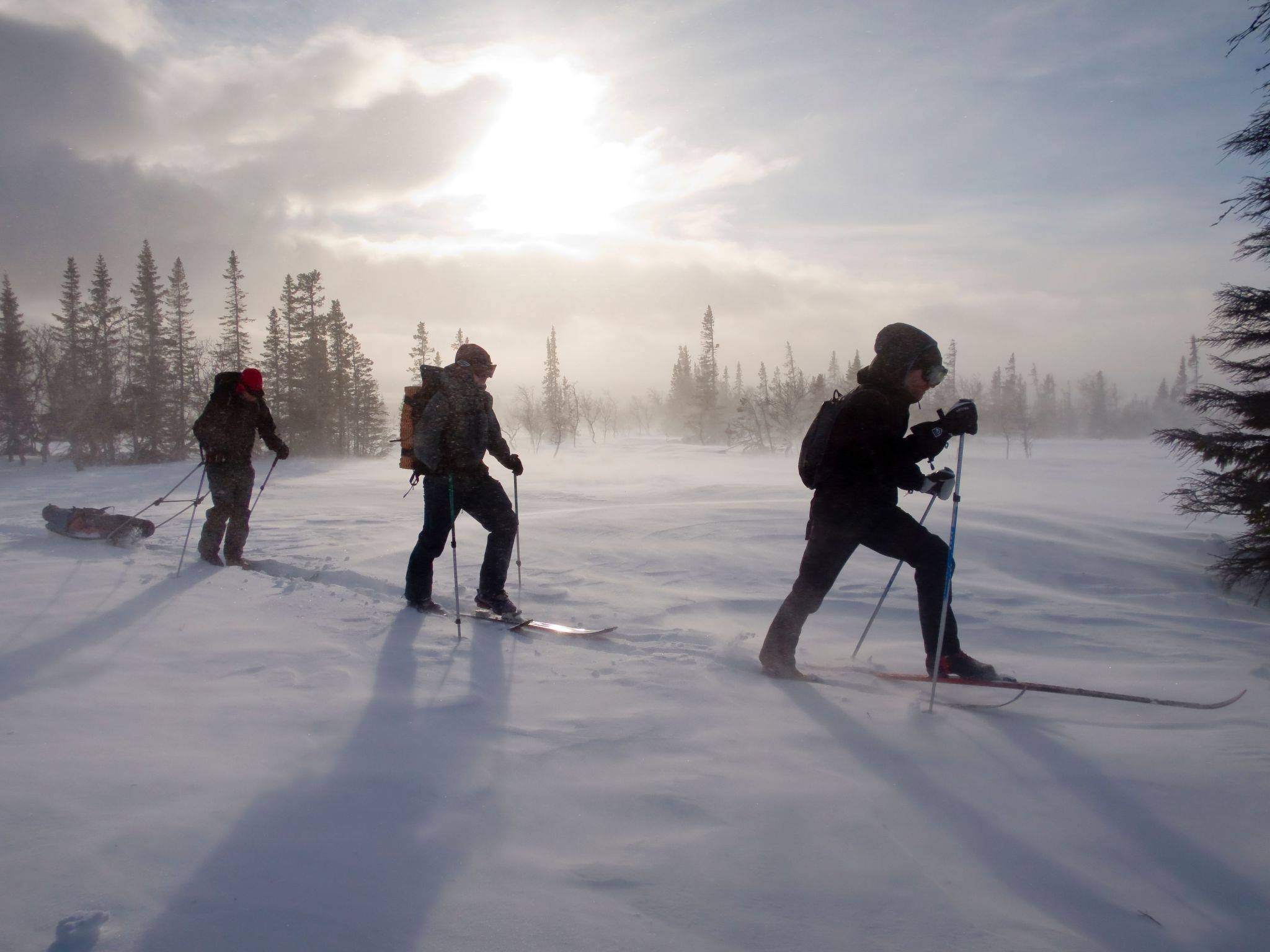 In Krokom und Seeblick-Image-tags.info