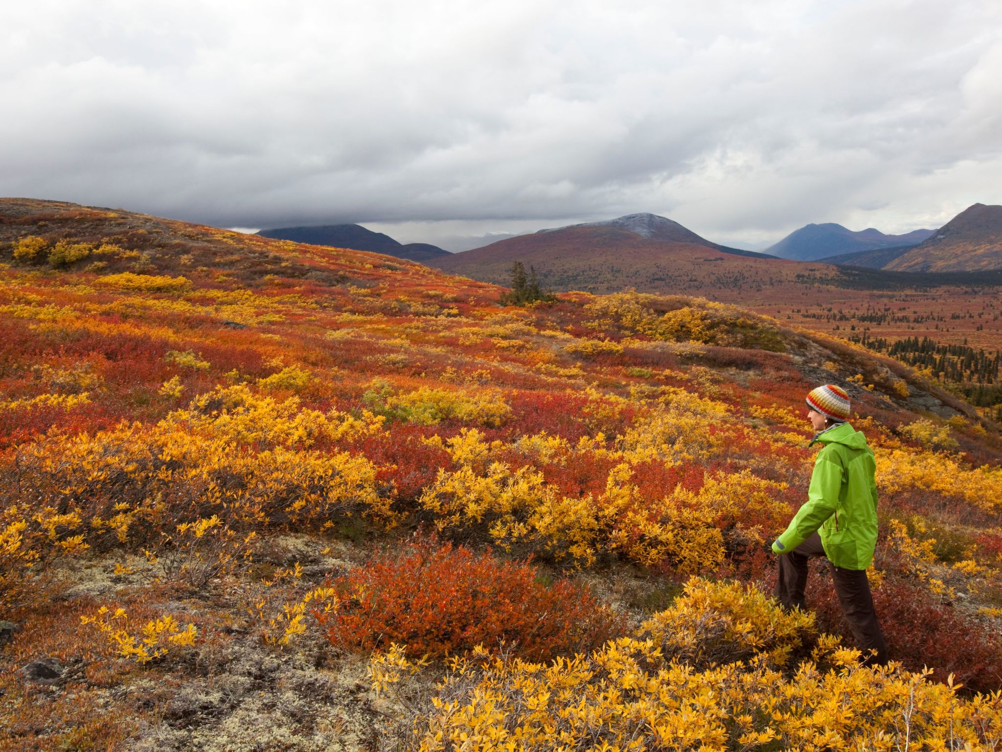 In Krokom und Seeblick-Image-tags.info