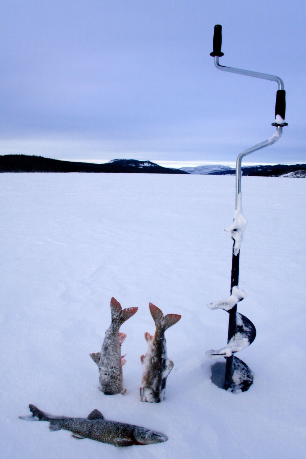 In Krokom und Seeblick-Image-tags.info