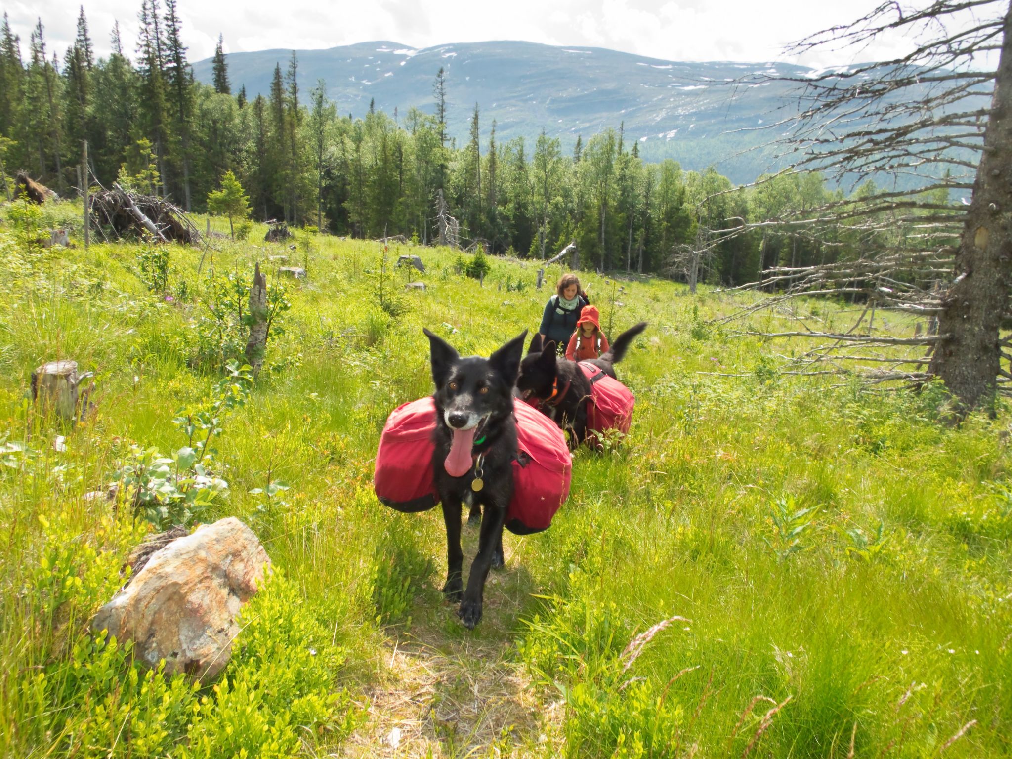 In Krokom und Seeblick-Image-tags.info