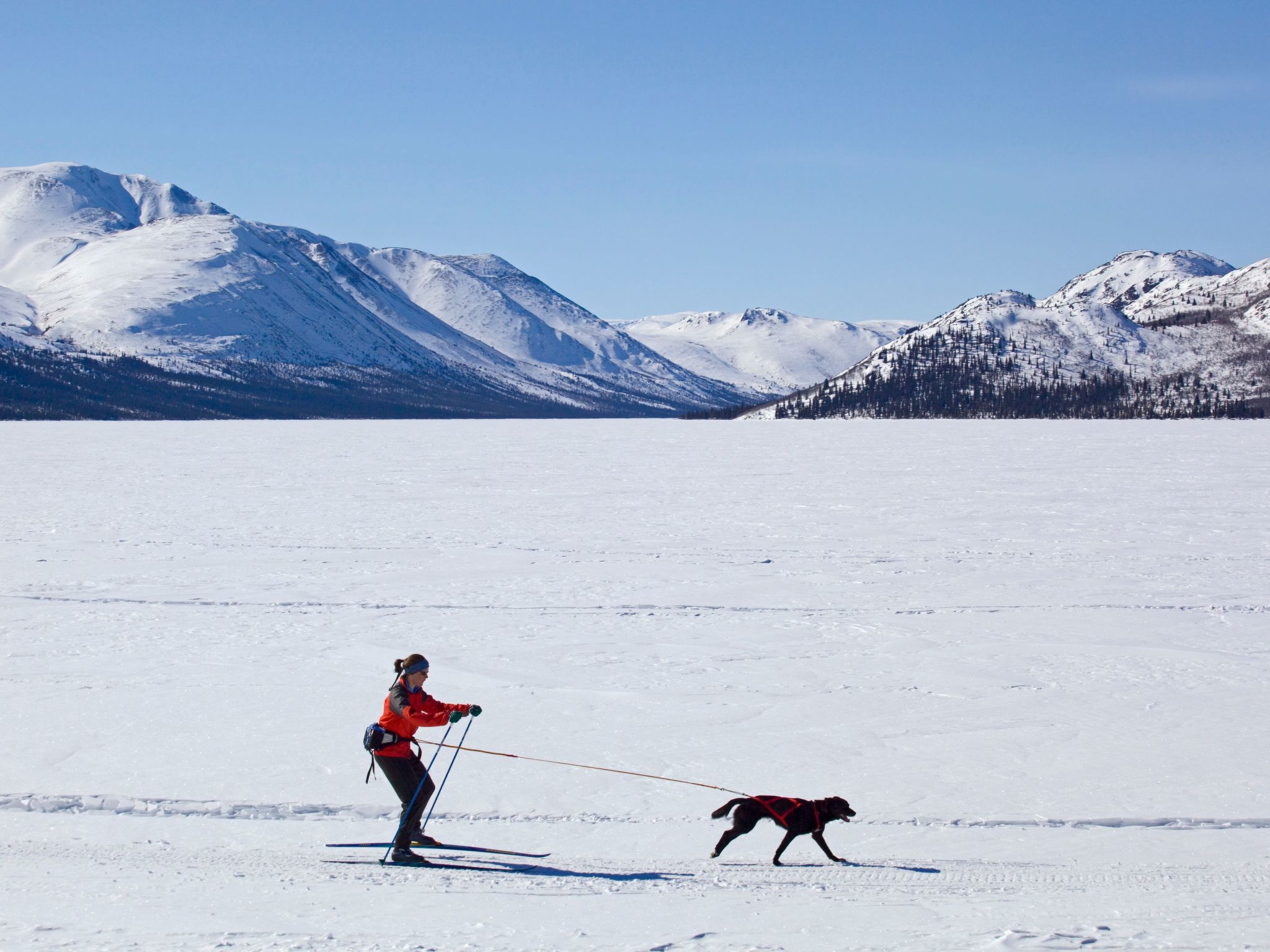 In Krokom und Seeblick-Image-tags.info