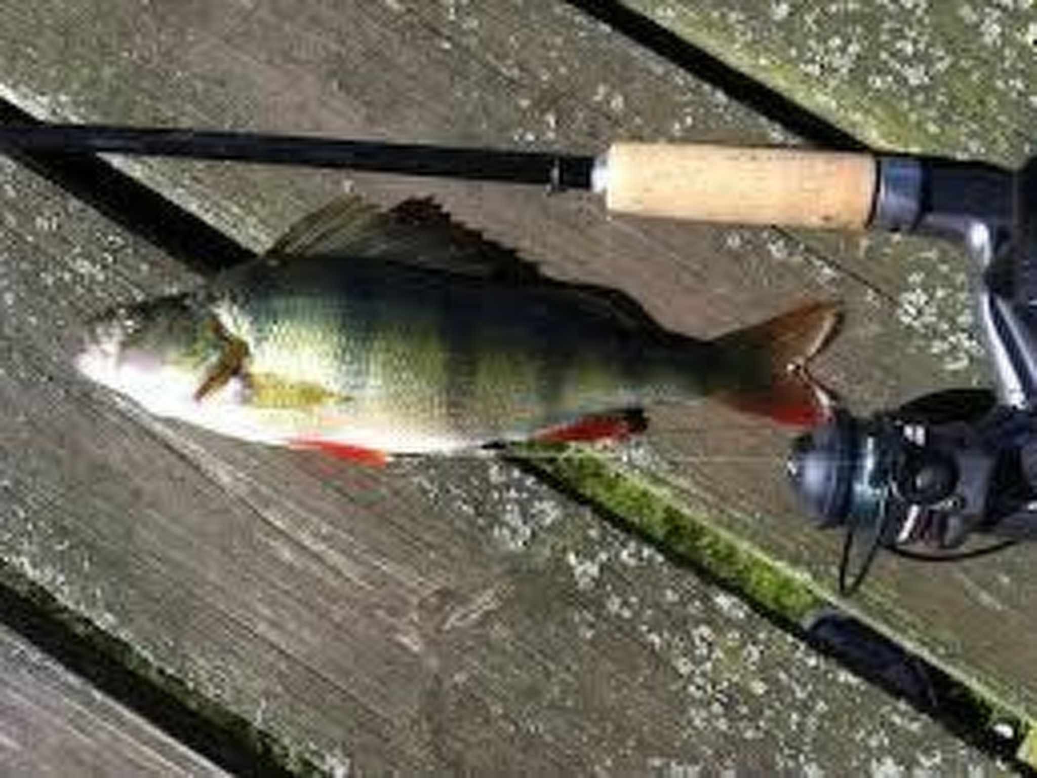 Holzhaus mit Terrasse, direkt an einer Bucht-Binnen
