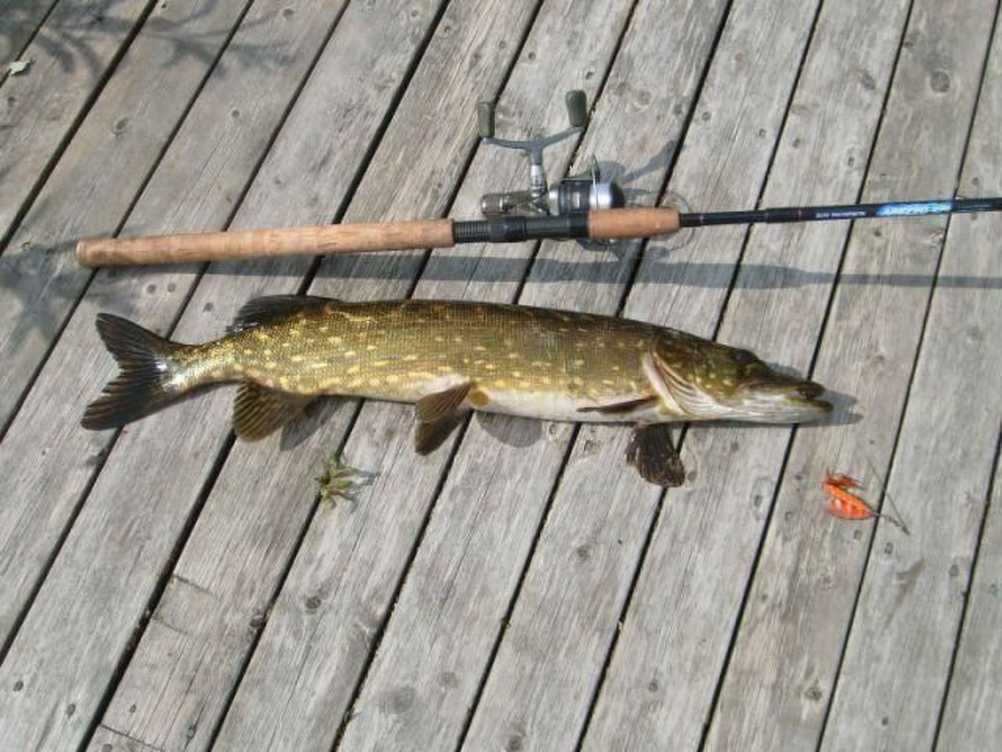 In Drag mit Möblierter Terrasse-Binnen