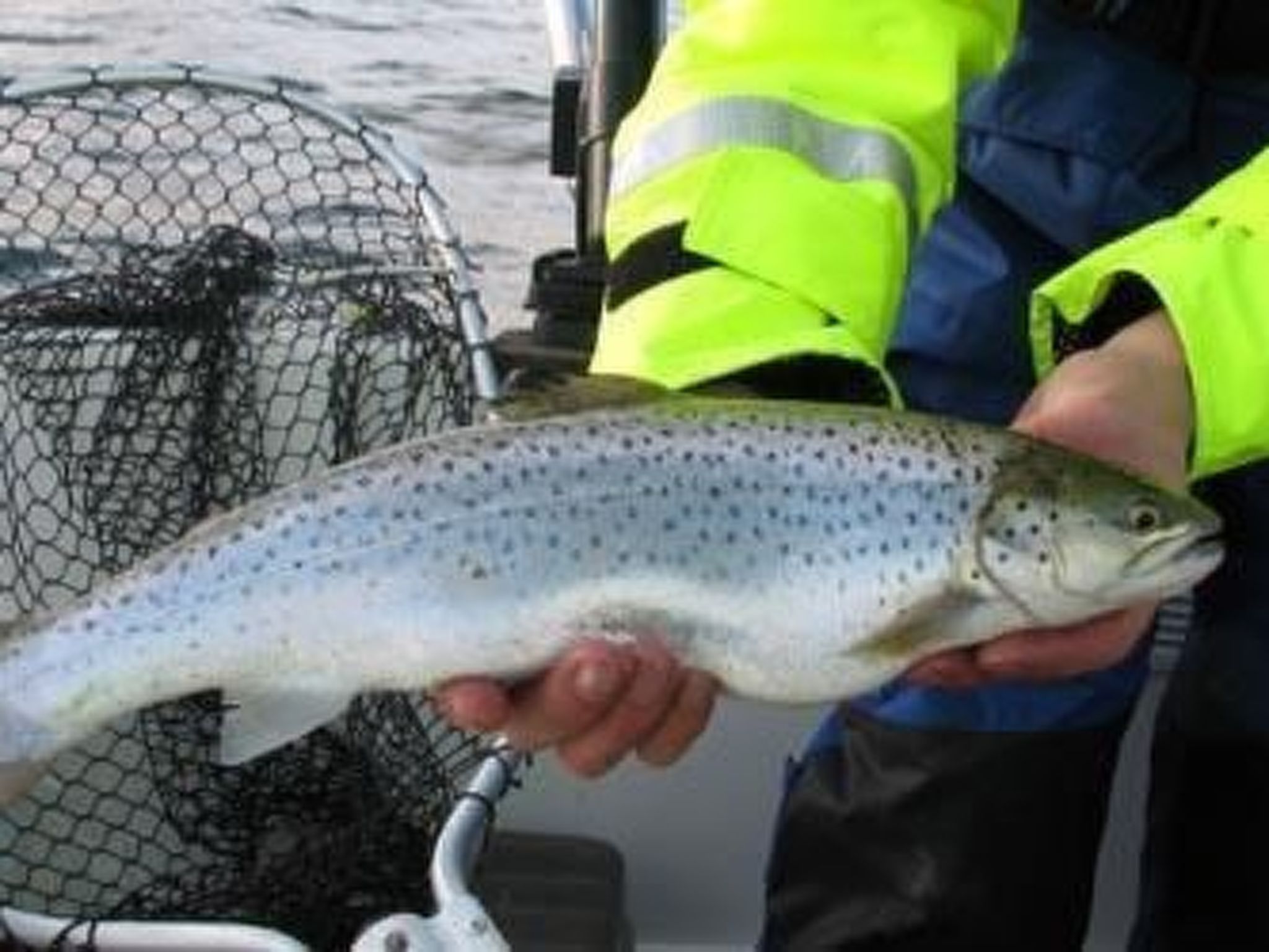 In Drag mit Möblierter Terrasse-Binnen