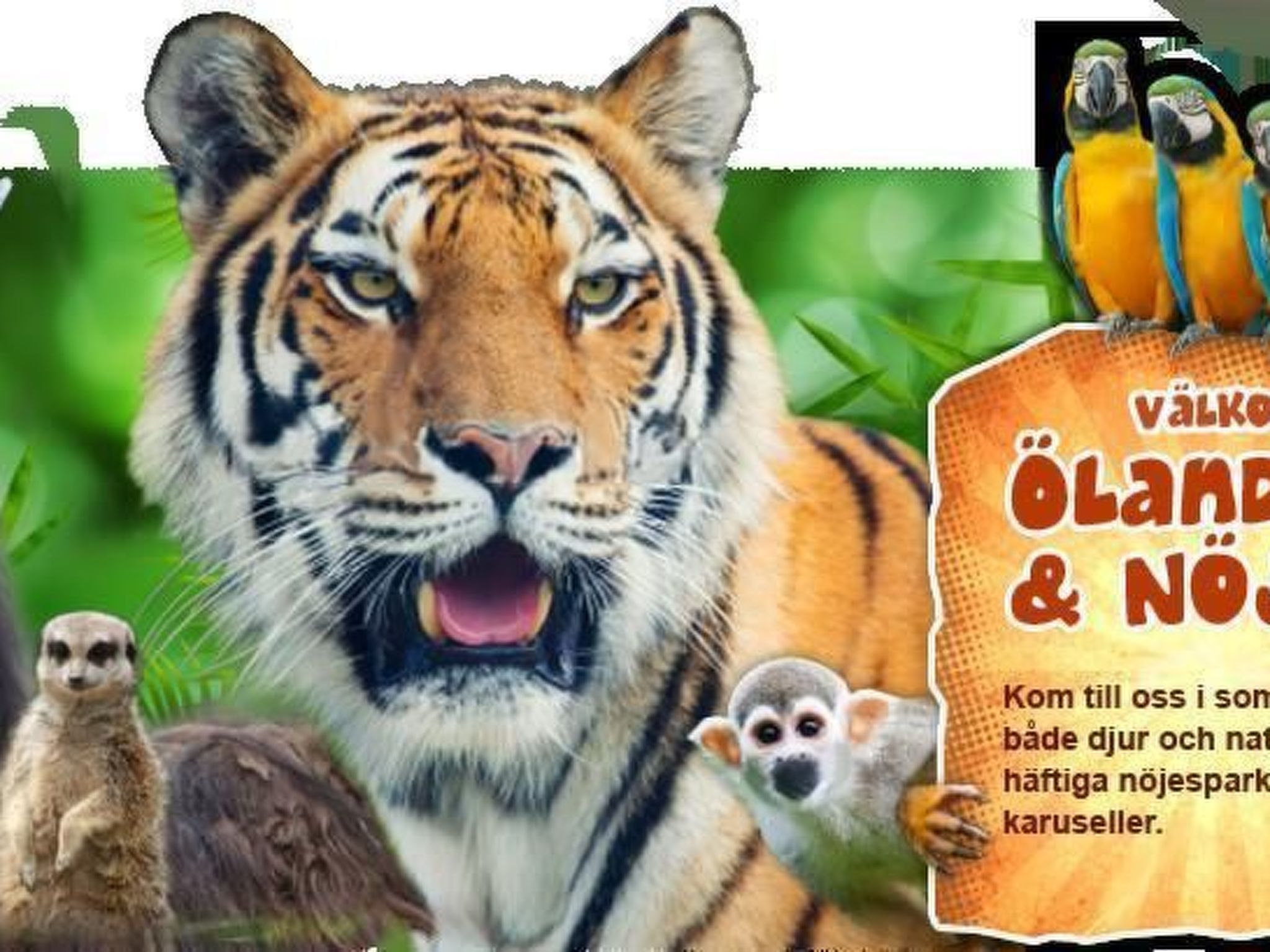 In Drag mit Möblierter Terrasse