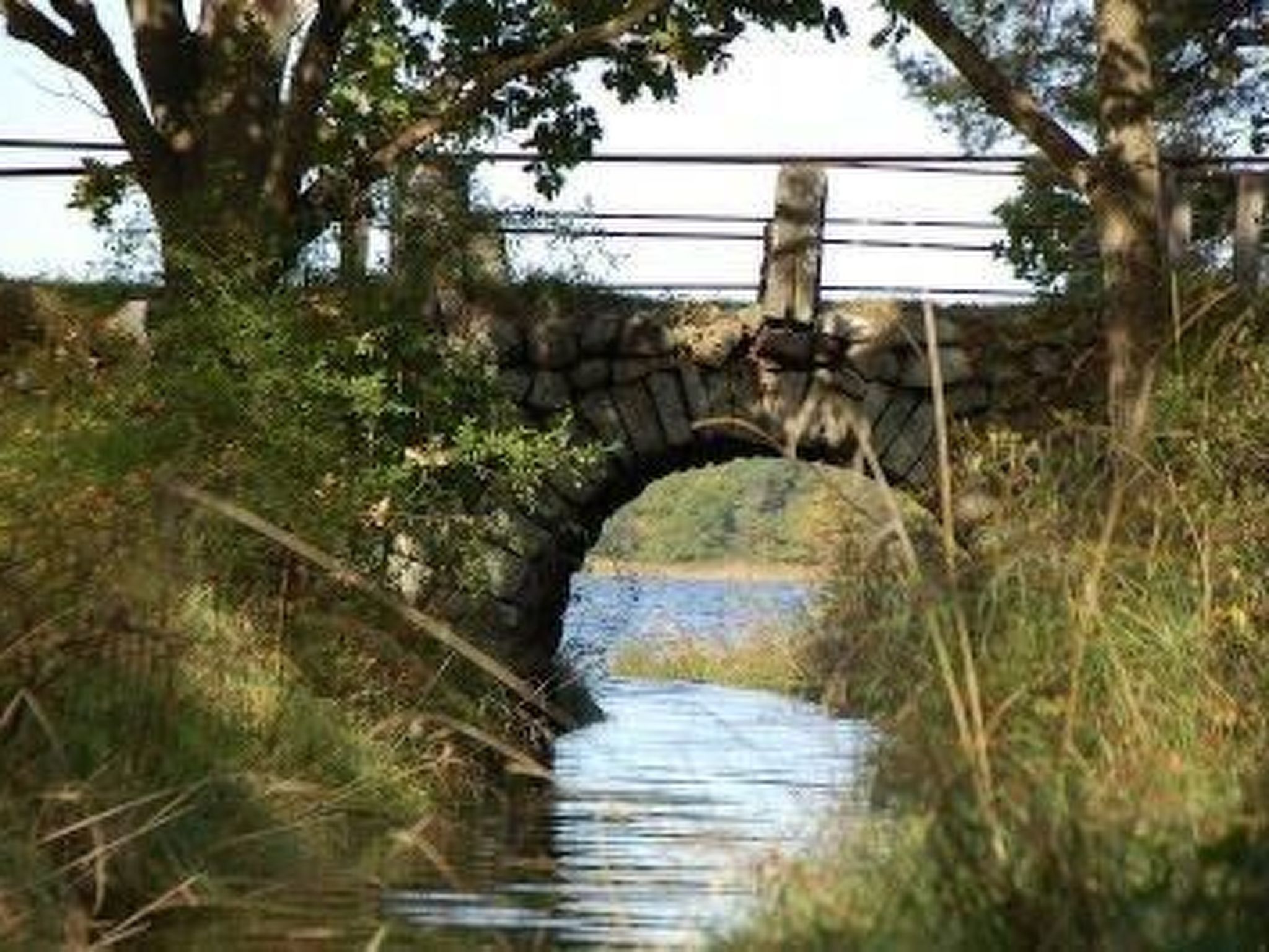 Komfortables Ferienhaus mit Garten-Binnen