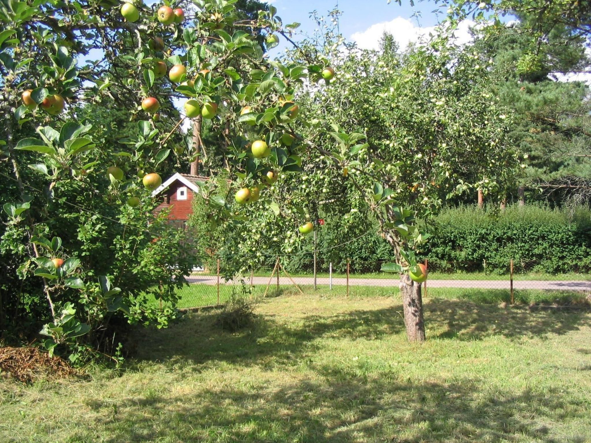 Mit Sauna und Kaminofen sowie Terrasse-Inside