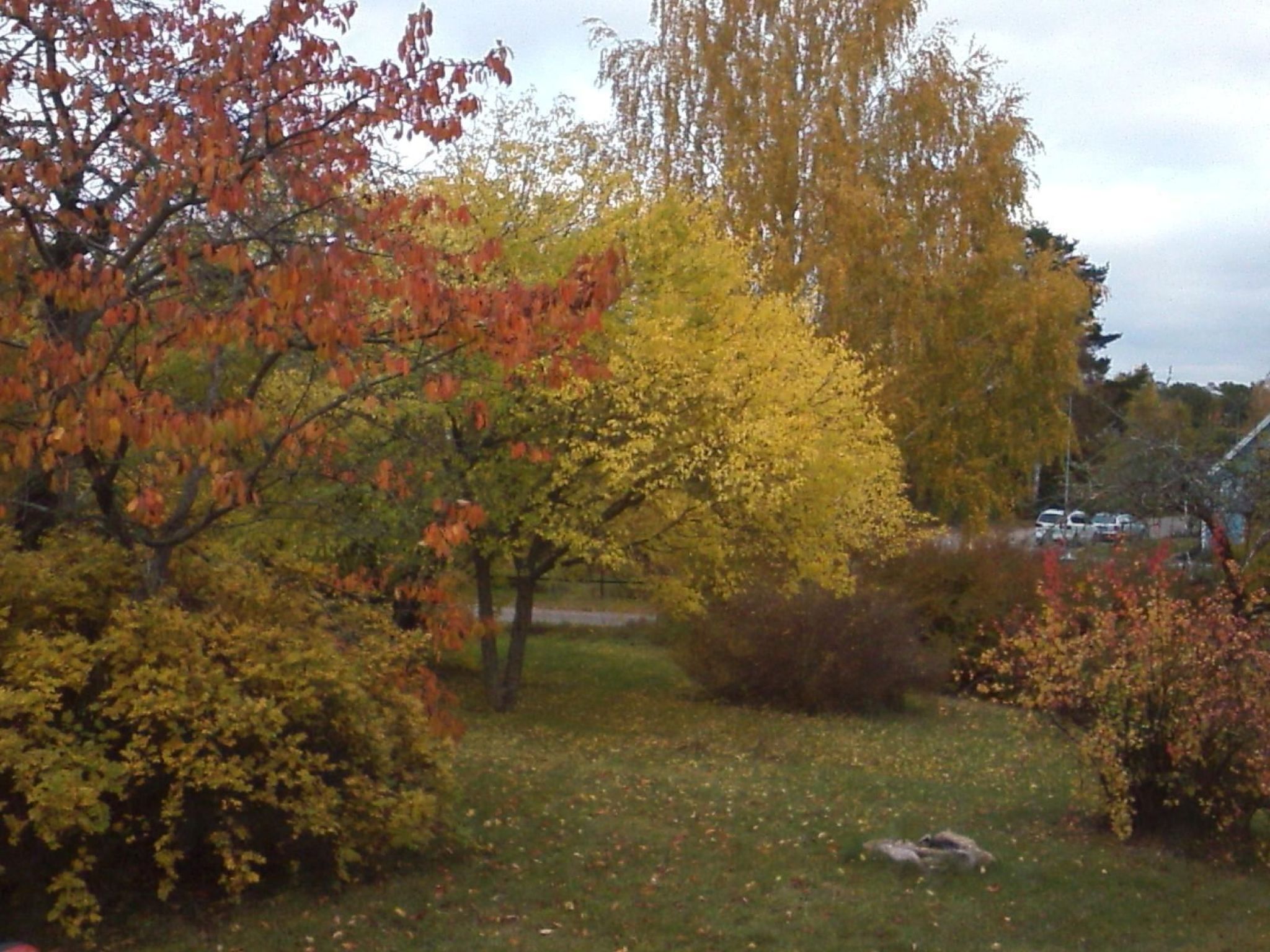 Mit Sauna und Kaminofen sowie Terrasse-Inside