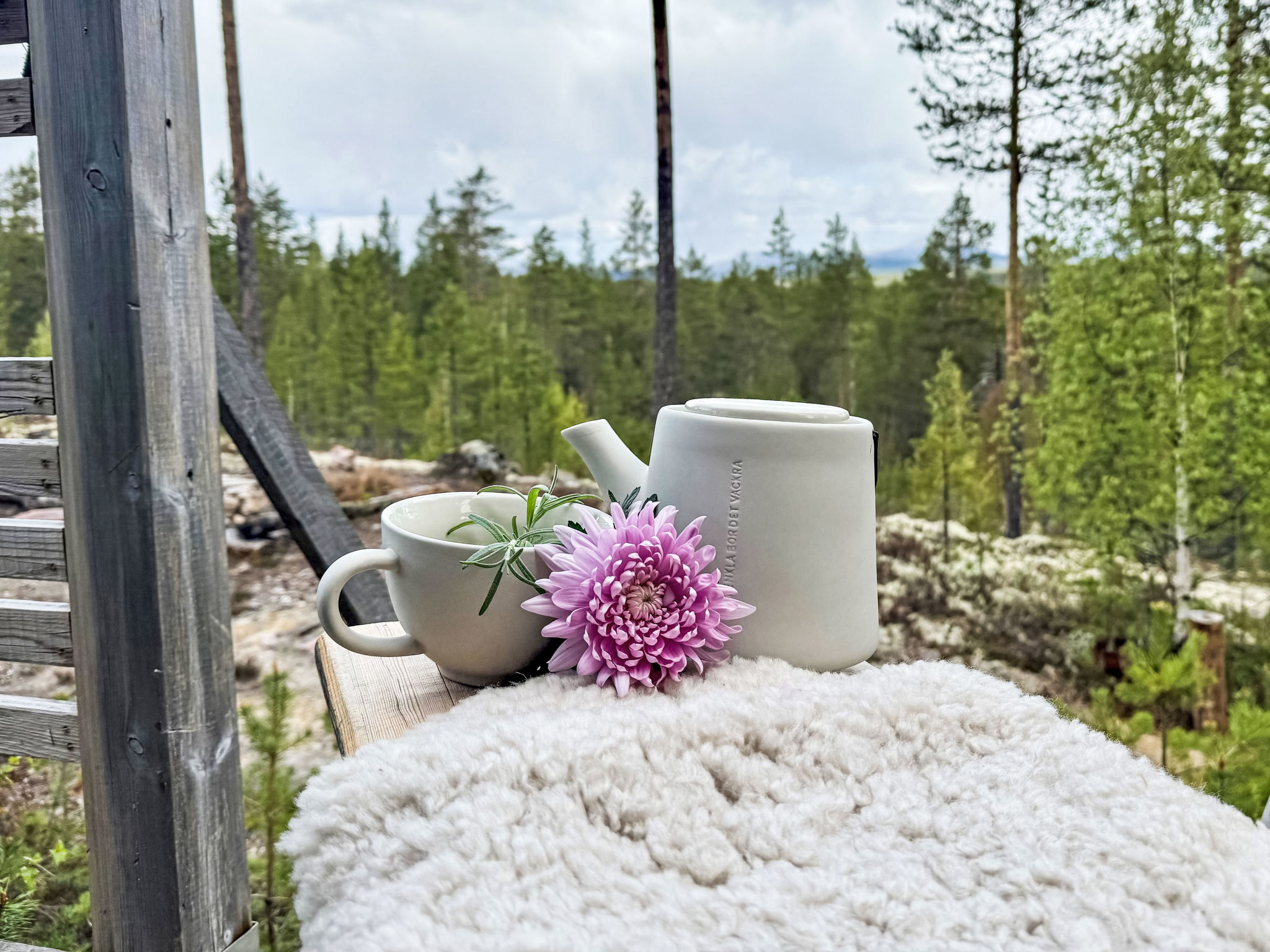 Kringelfjorden Renen-Outside