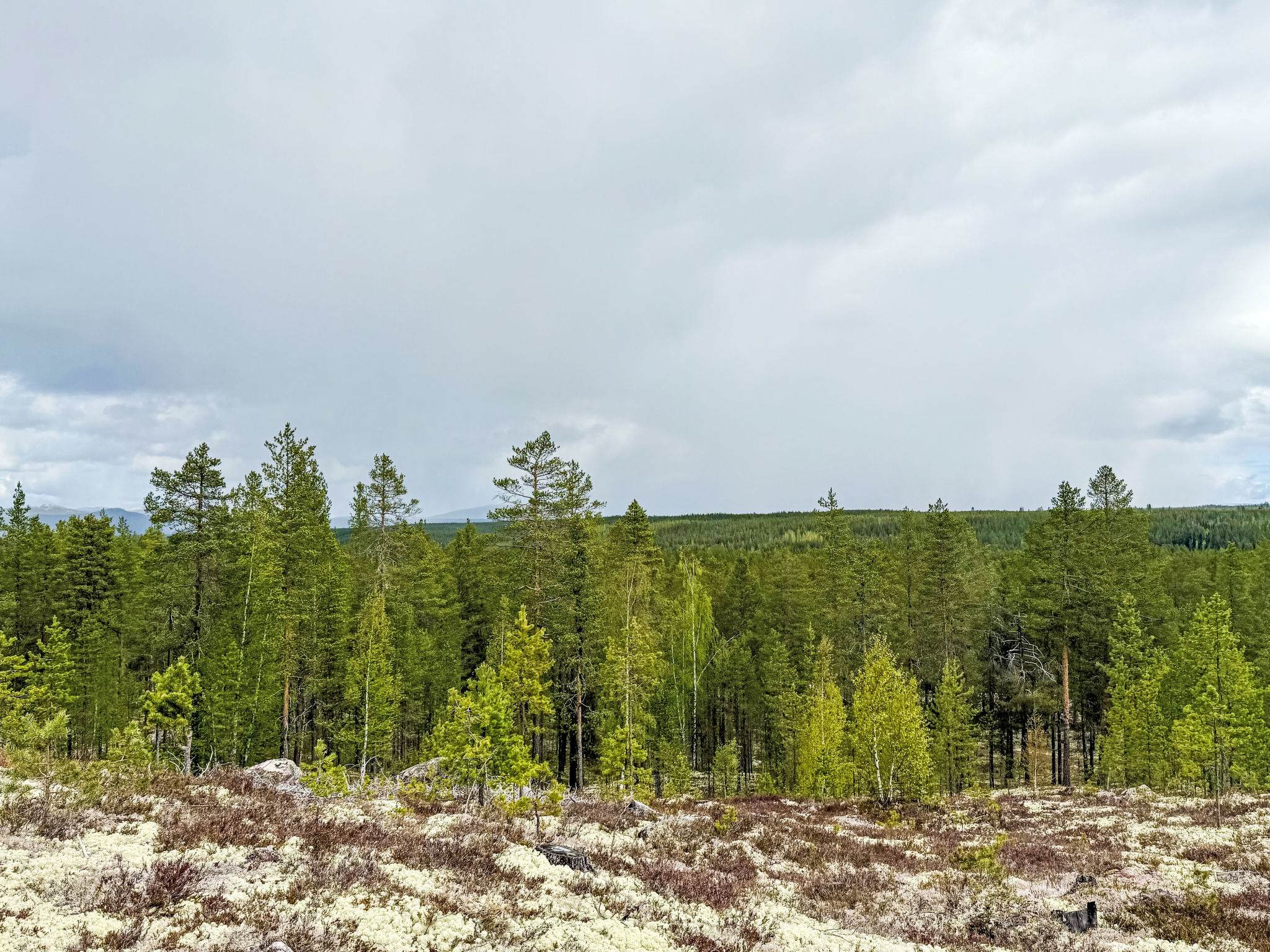 Kringelfjorden Renen-Outside