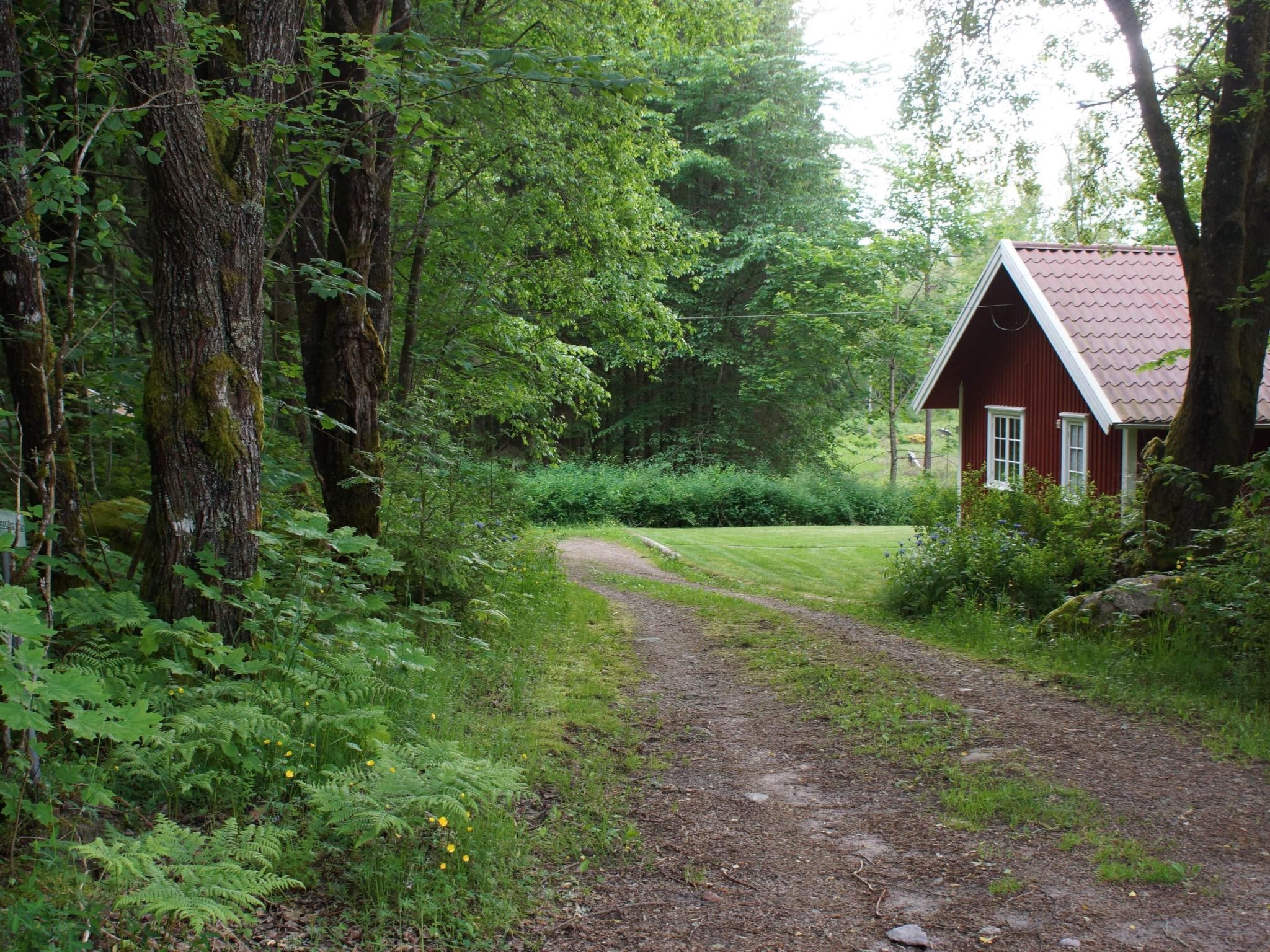 Gemütliches Holzhaus mit Boot