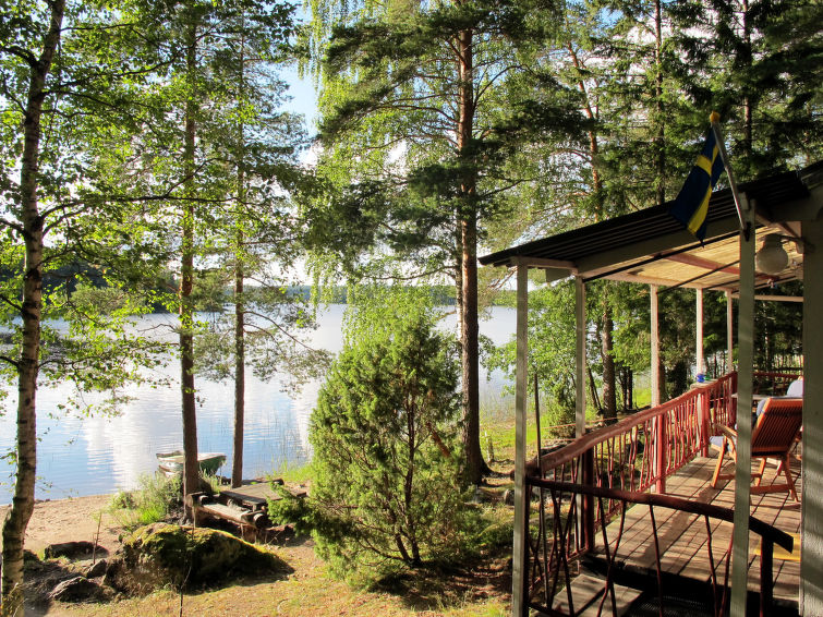 Foto: Skog - Noord Zweden