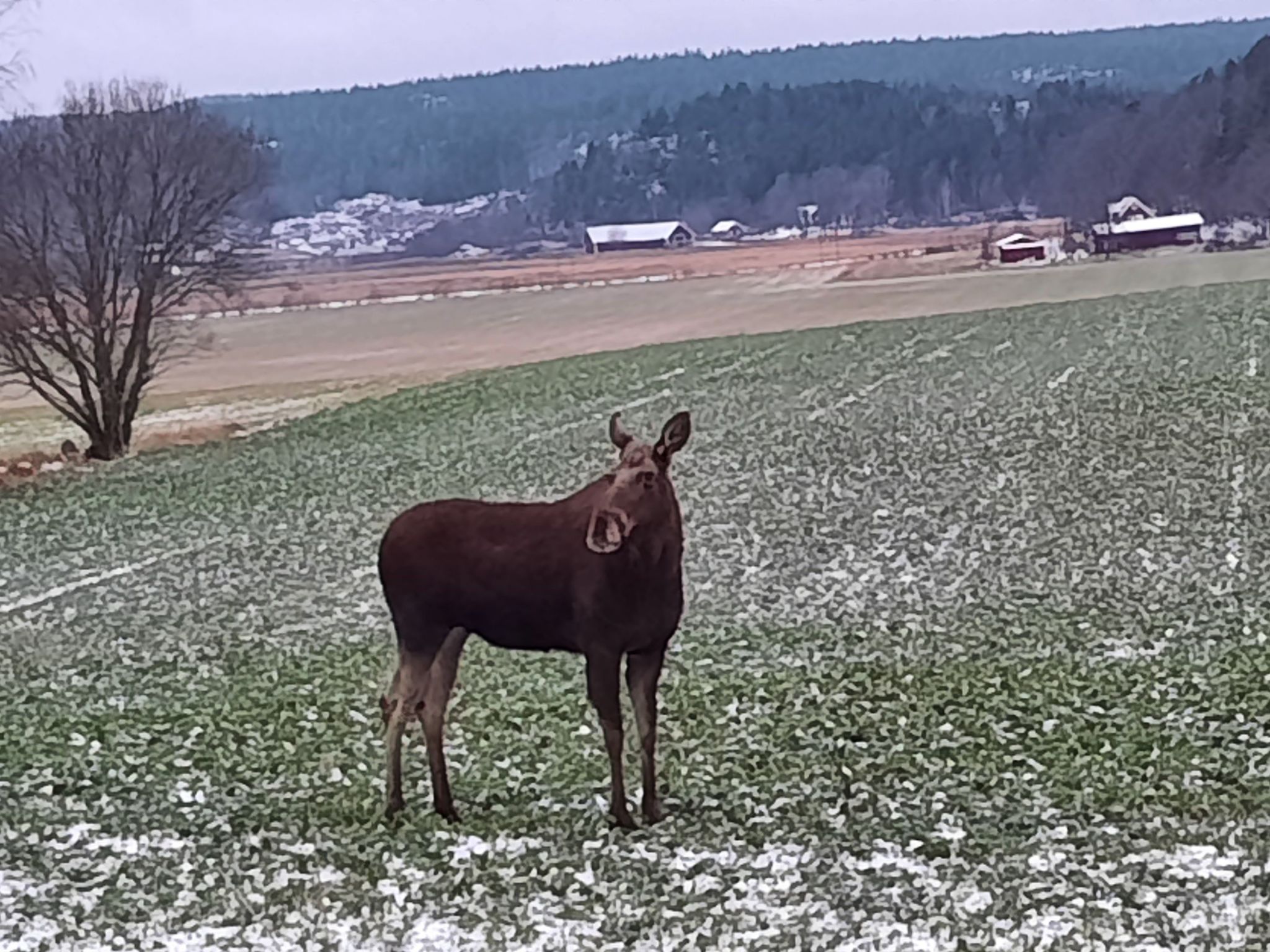 Bauernhaus-Wohnung bei Göta Älv in der Nähe von Göteborg-Binnen