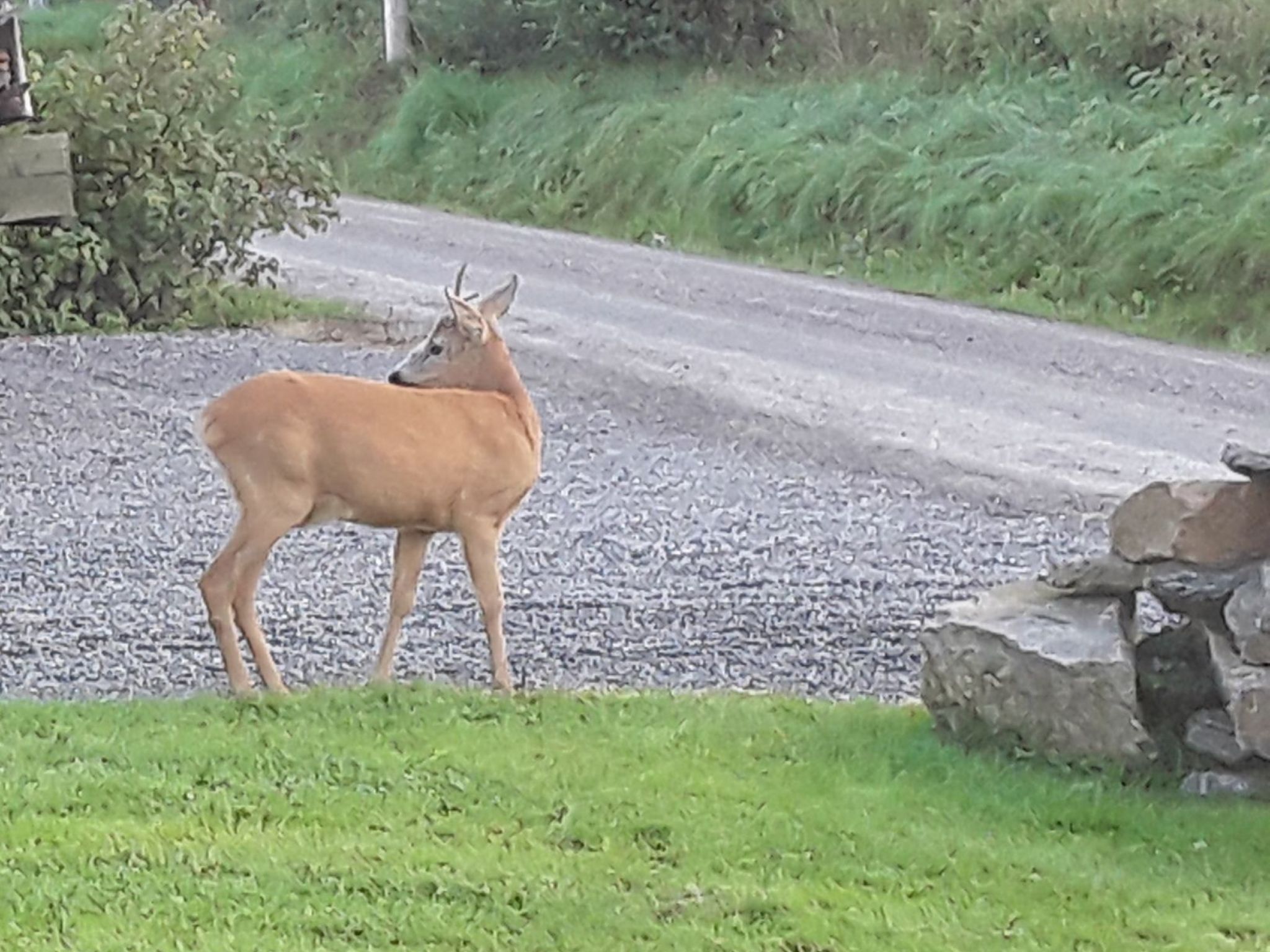 Bauernhaus-Wohnung bei Göta Älv in der Nähe von Göteborg-Binnen