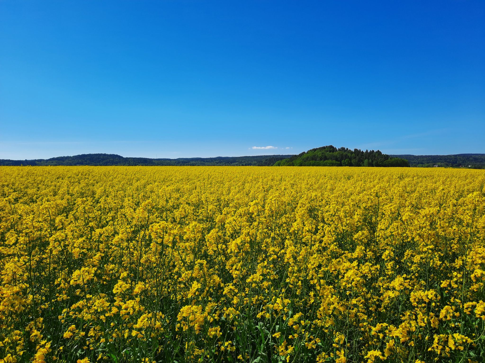 Bauernhaus-Wohnung bei Göta Älv in der Nähe von Göteborg-Binnen