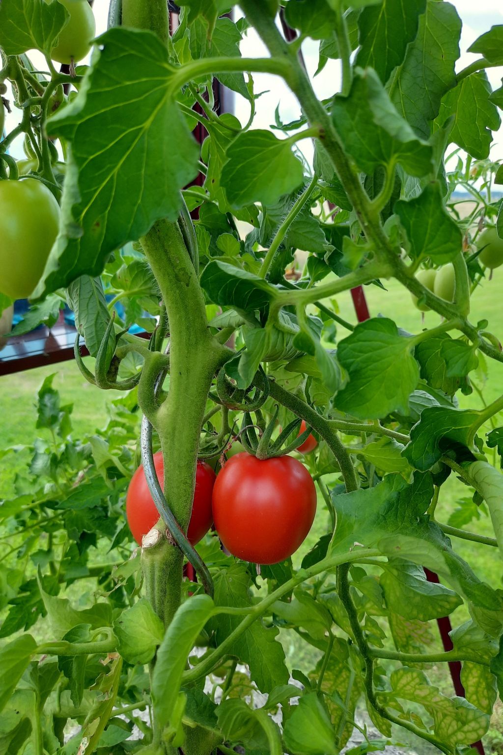 Bauernhaus-Wohnung bei Göta Älv in der Nähe von Göteborg-Binnen