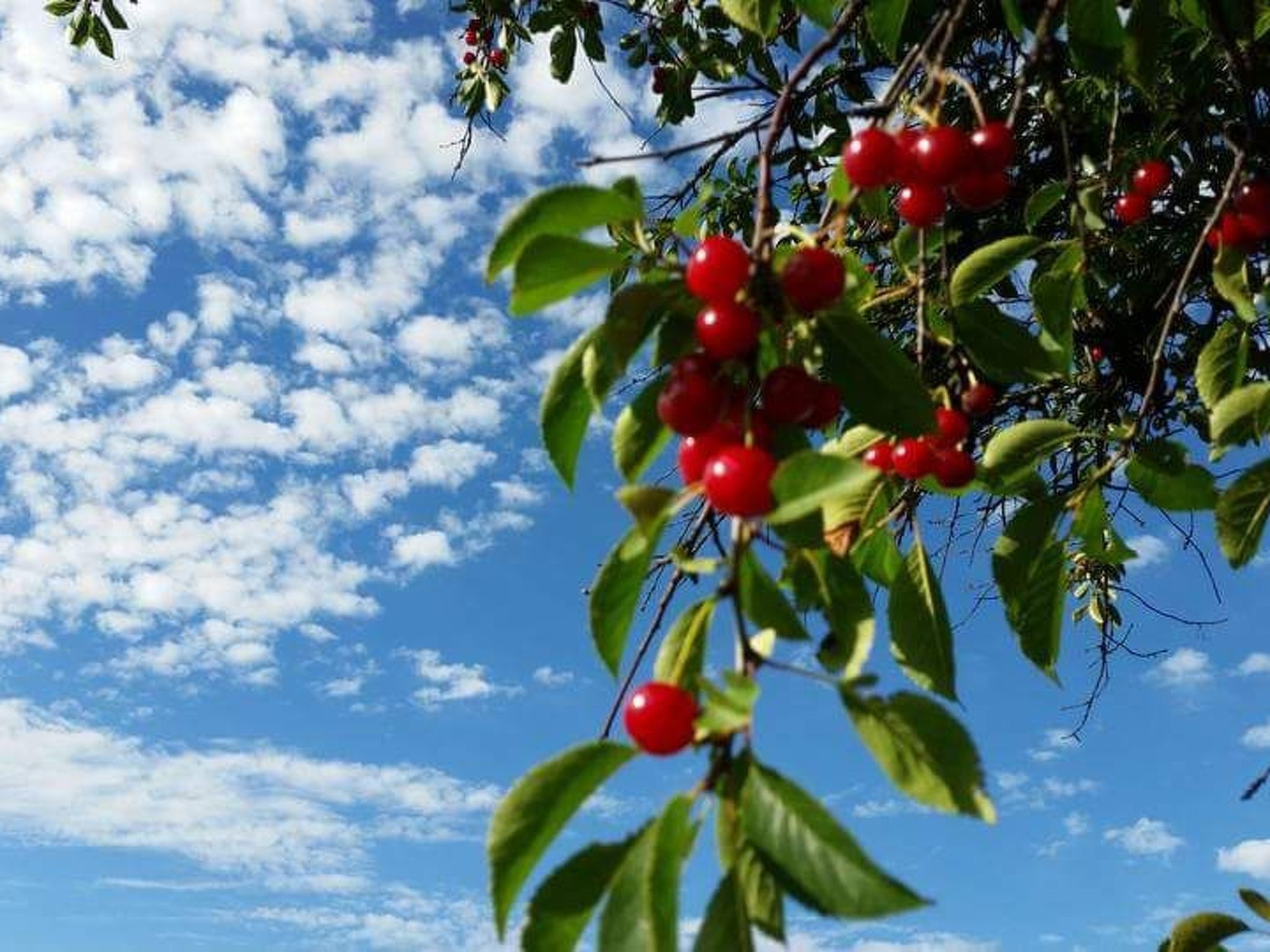 Bauernhaus-Wohnung bei Göta Älv in der Nähe von Göteborg-Binnen
