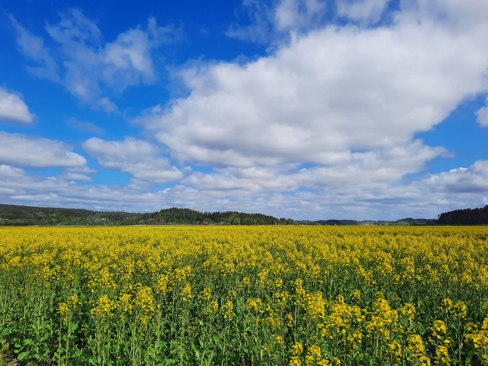 Bauernhaus-Wohnung bei Göta Älv in der Nähe von Göteborg-Binnen