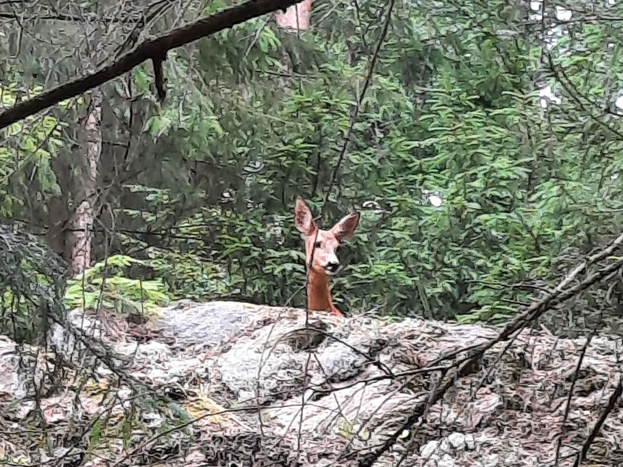 Bauernhaus-Wohnung bei Göta Älv in der Nähe von Göteborg-Binnen