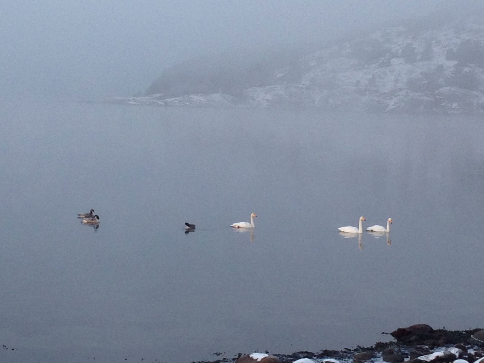 Wunderschönes Haus in einer fantastischen Natur am Meer-Drinnen